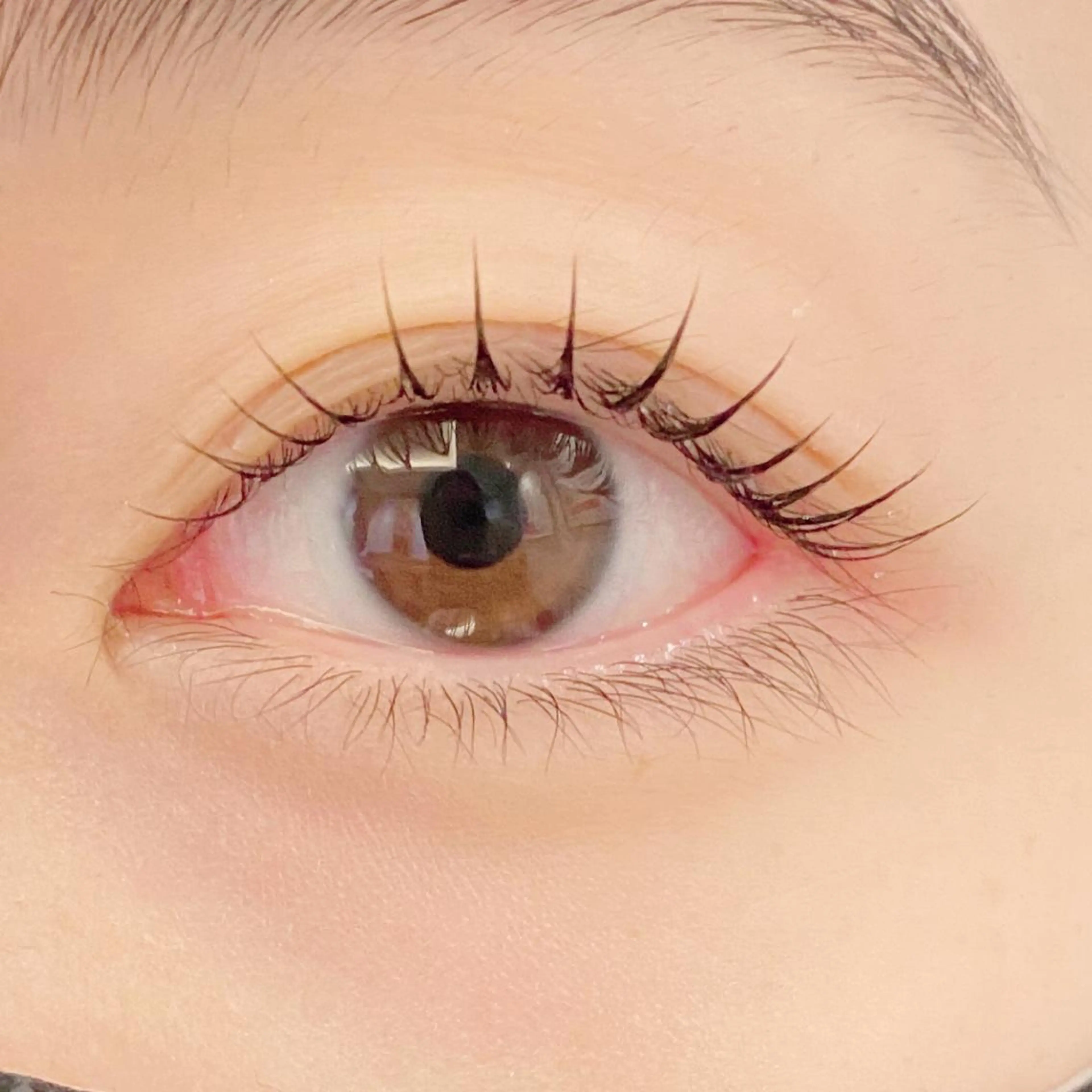 アイブロウ マツエク・マツパ K's LASH （アイリスト）のマツエク・マツパデザイン