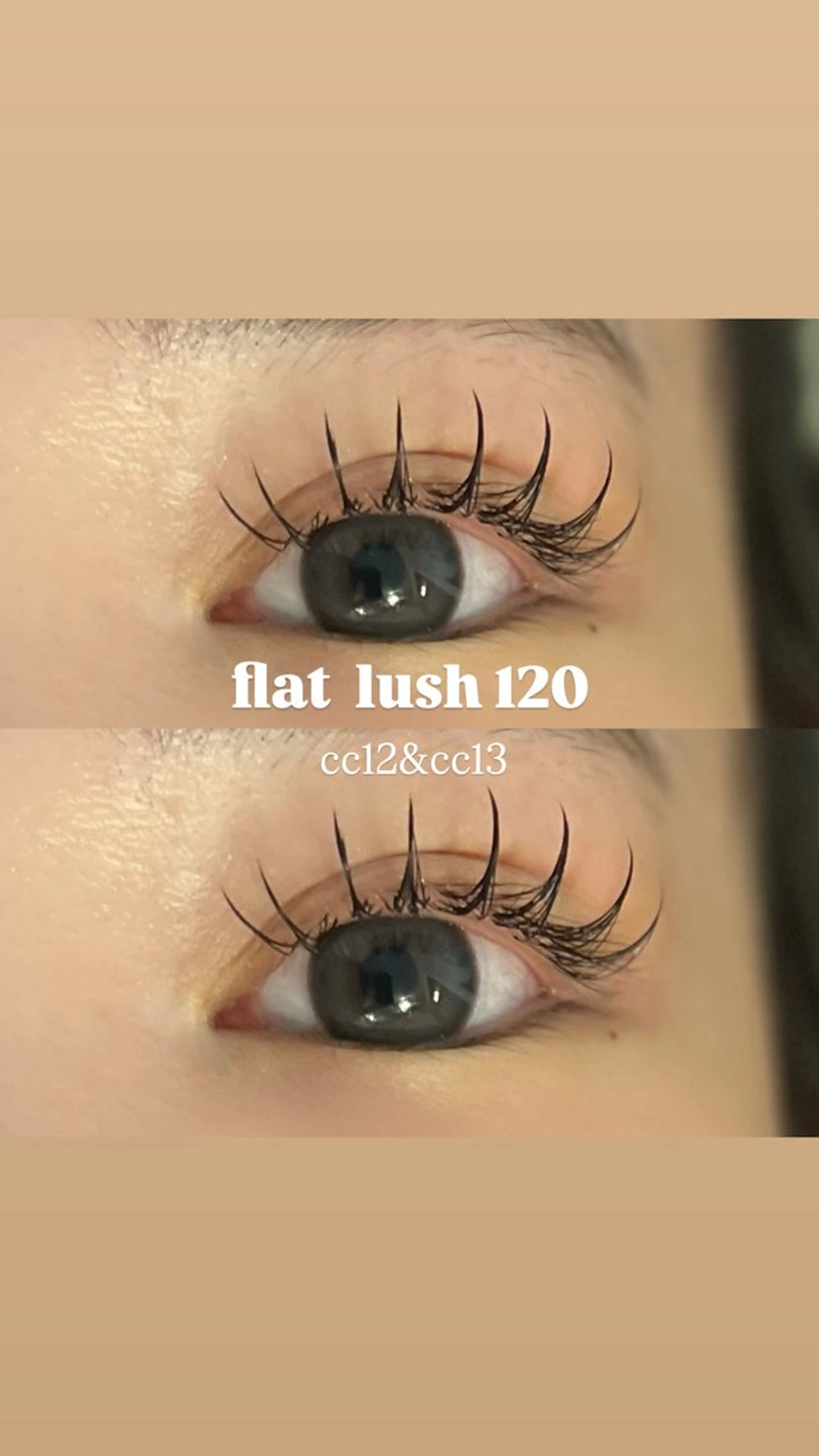 マツエク・マツパ 束感まつ毛 CCカール Cカール フラットラッシュ ナチュラル マツエク 🌿ayaki🌿 en Reveのマツエク・マツパデザイン