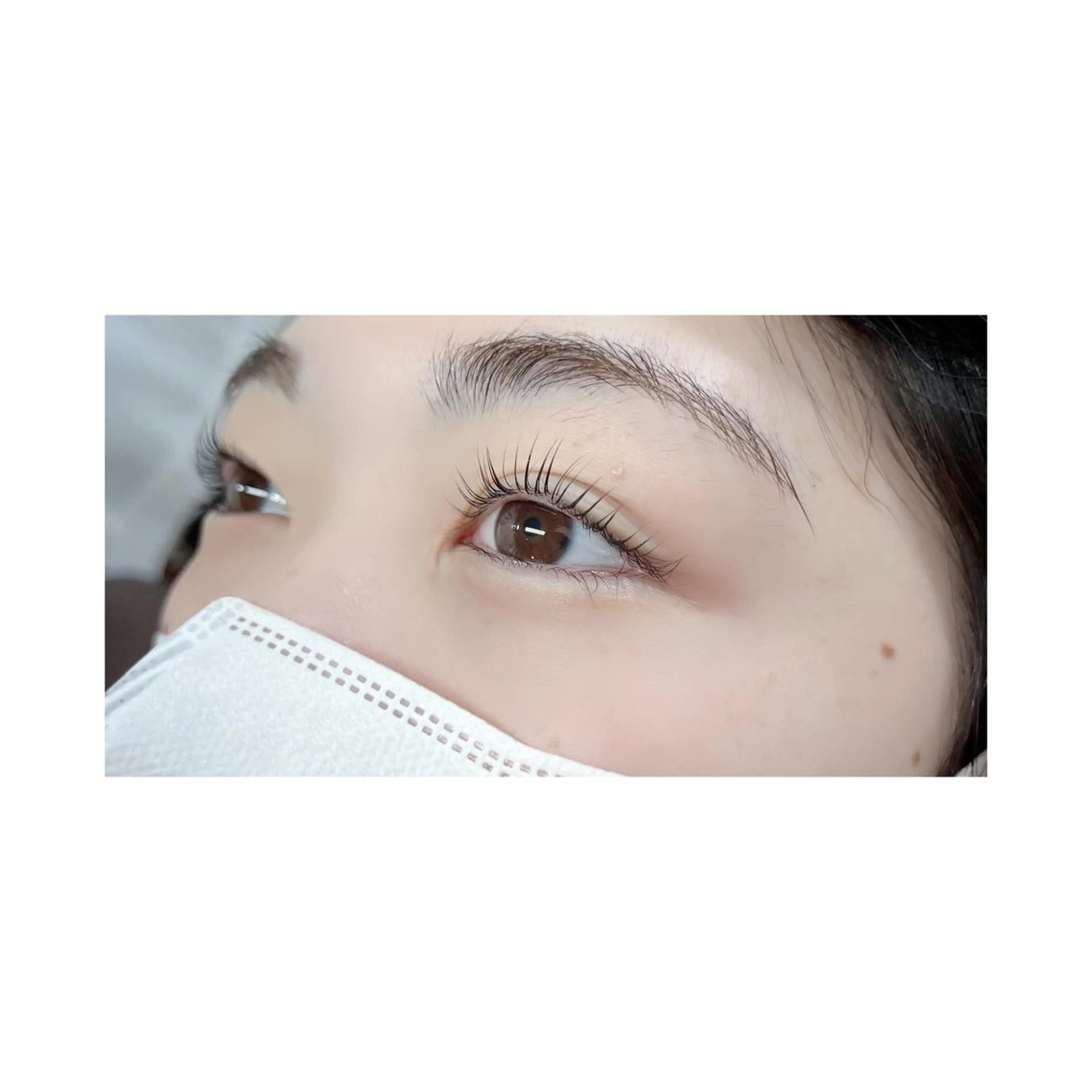 🌼2回目限定 まつ毛パーマ🌼の写真