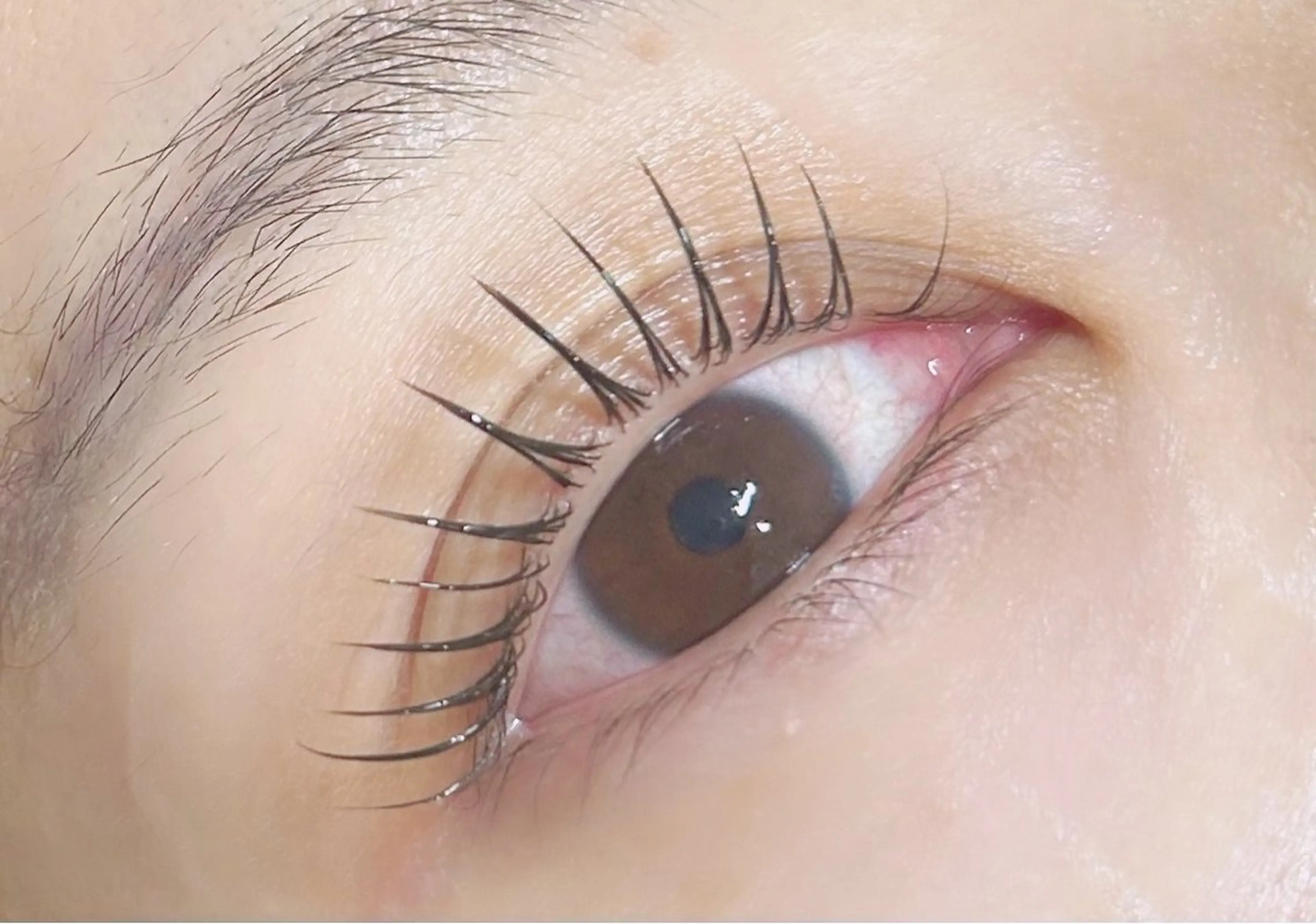 マツエク・マツパ マツパ Gran /satoのマツエク・マツパデザイン