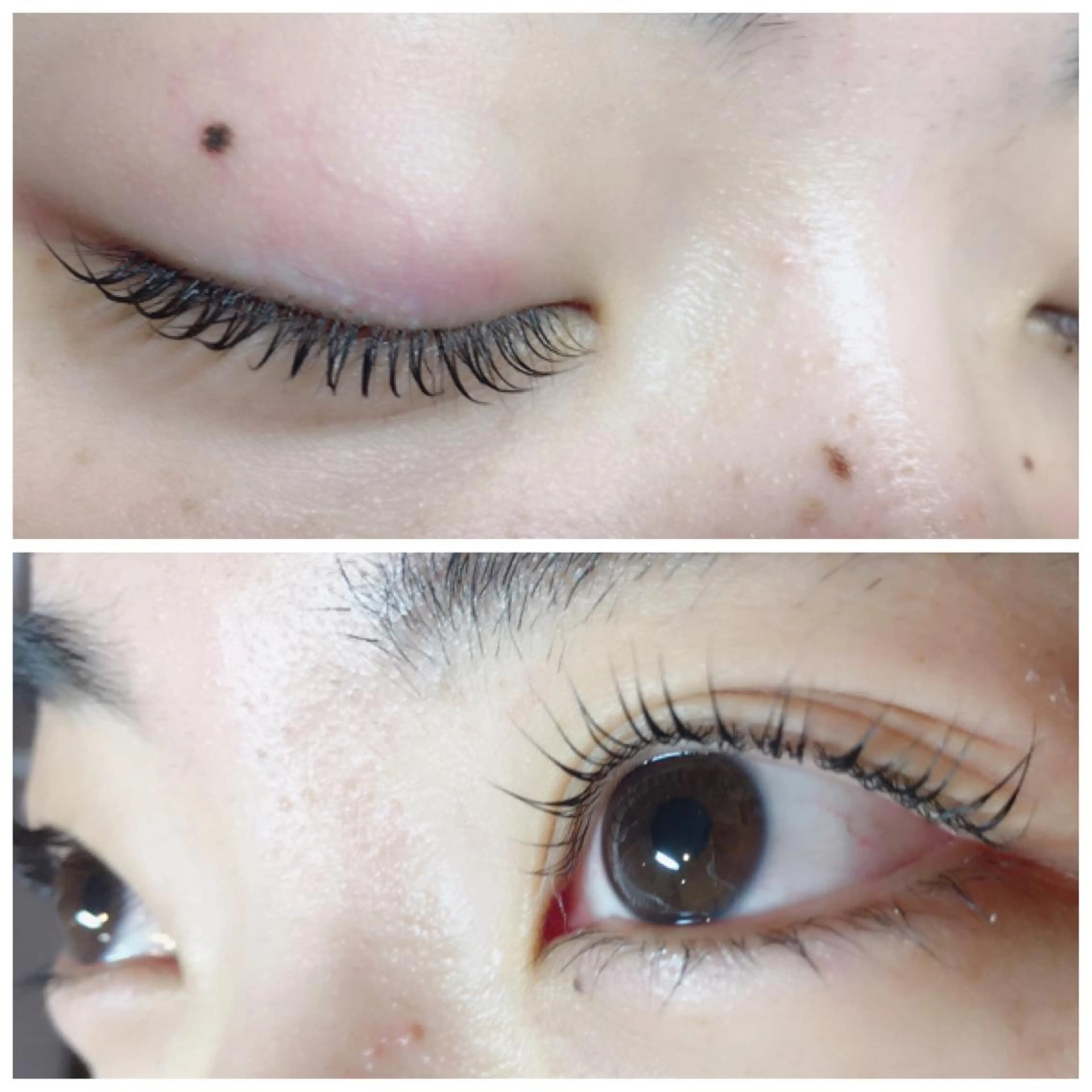 マツエク・マツパ Cカール まつげパーマ ちだ りさこ🌼𓈒𓏸のマツエク・マツパデザイン