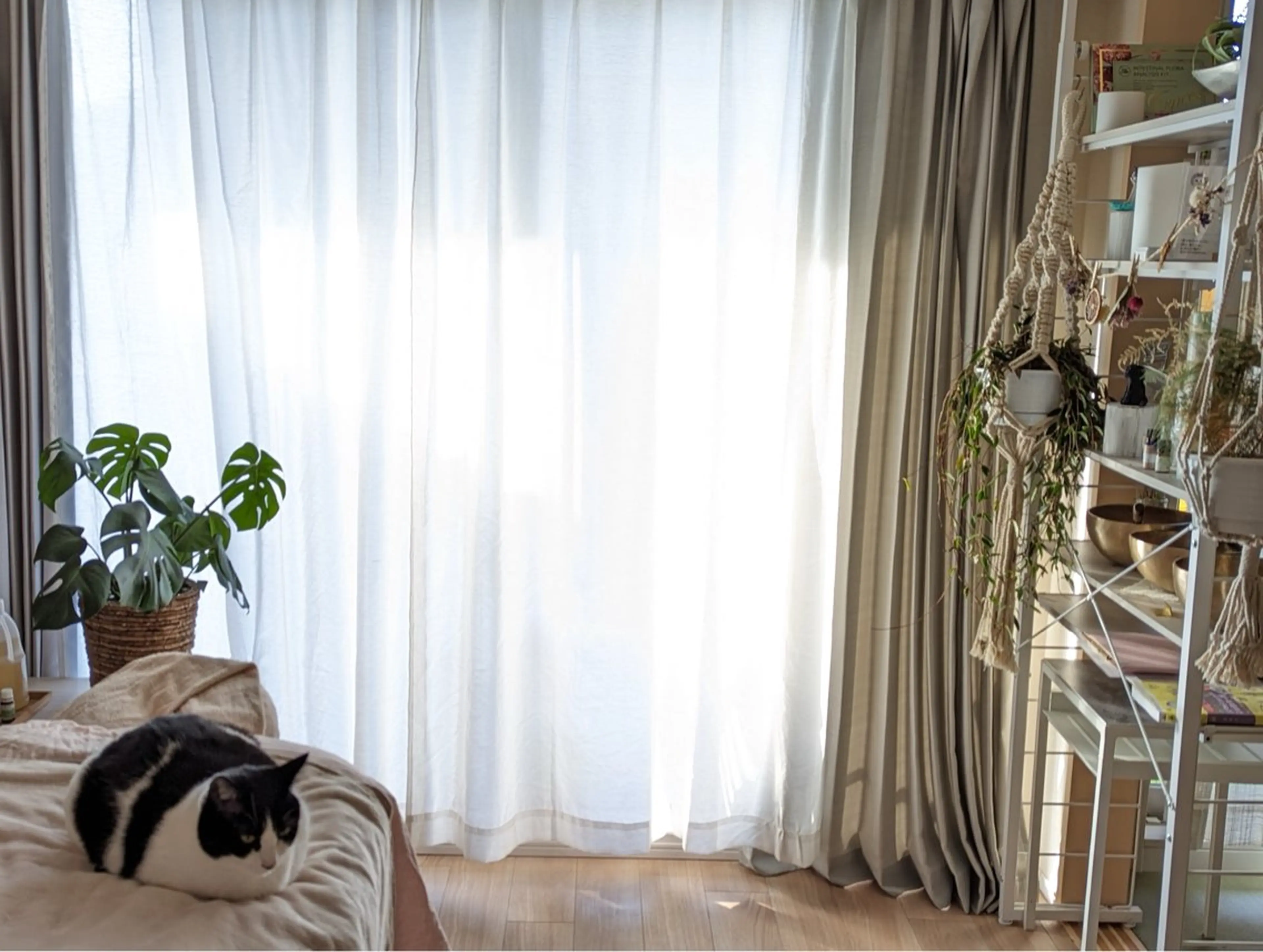 リラク stress care salon　海と猫所属・小顔salon 古田琴のエステ・リラクイメージ