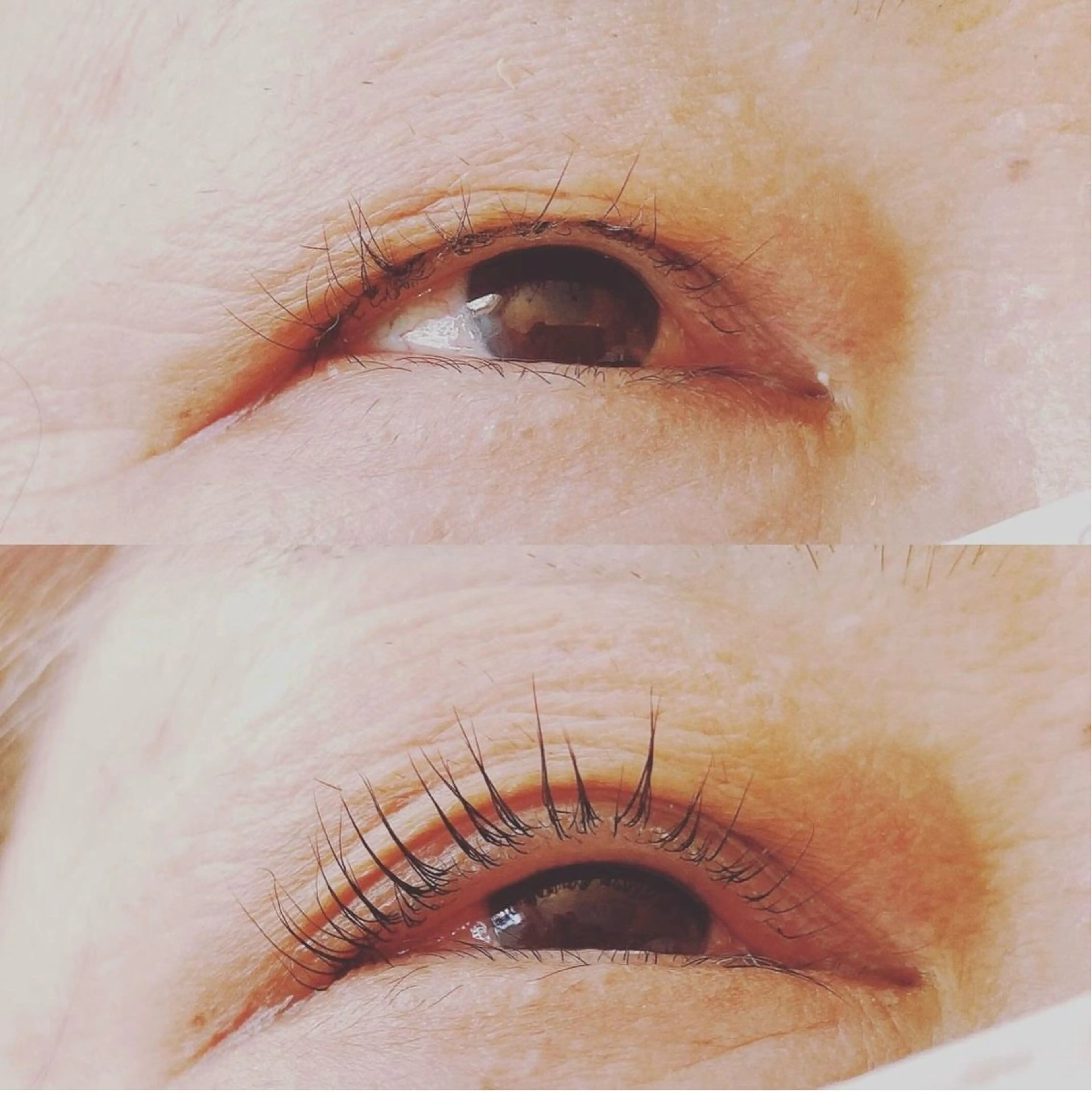 マツエク・マツパ 自まつ毛を大切にする まつ毛Ｐのマツエク・マツパデザイン