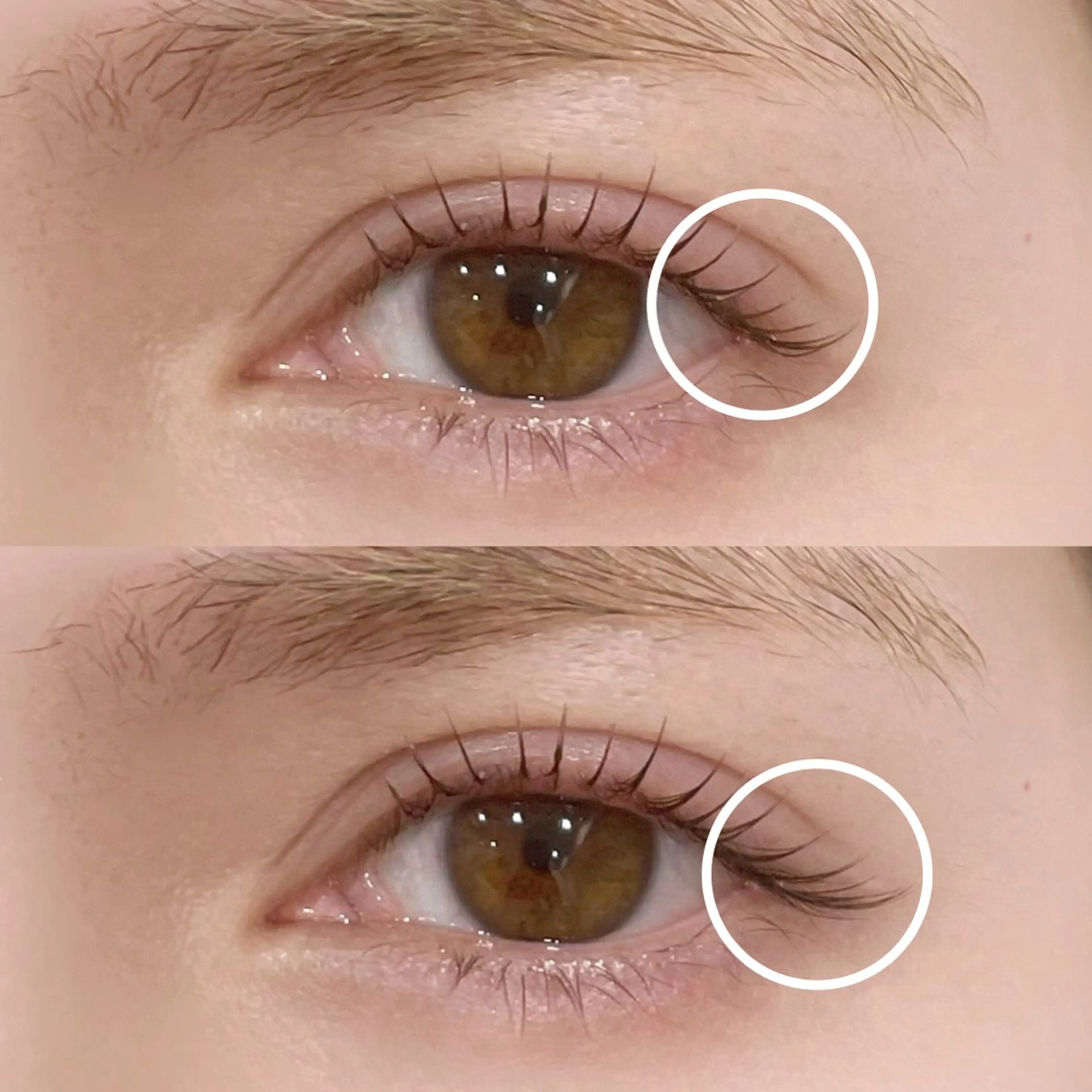 《足りないとこにちょっとだけ!》まつげパーマ × LEDポイントエクステ20本(黒目上、目尻など)の写真