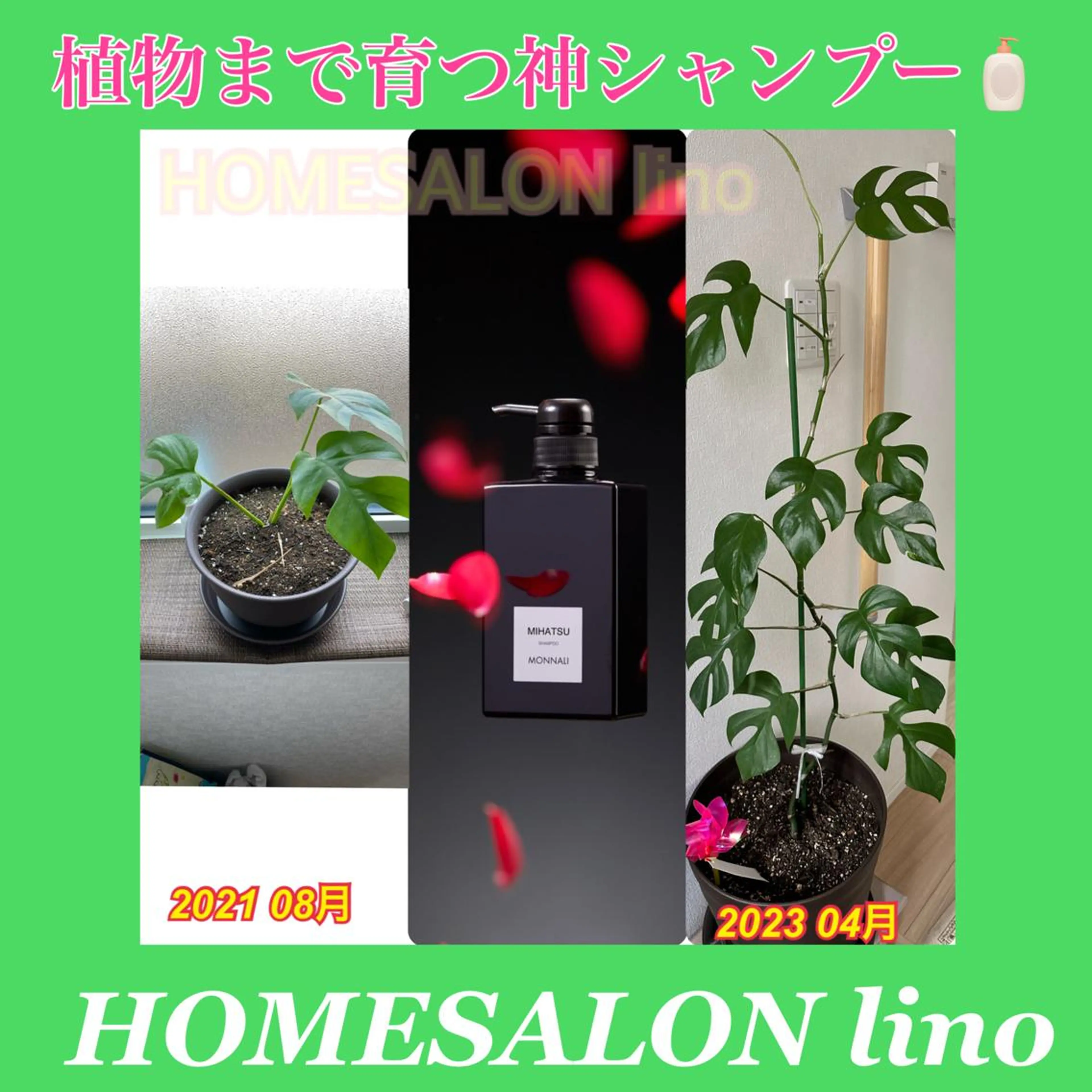 HOME SALON linoのエステ・リラクイメージ
