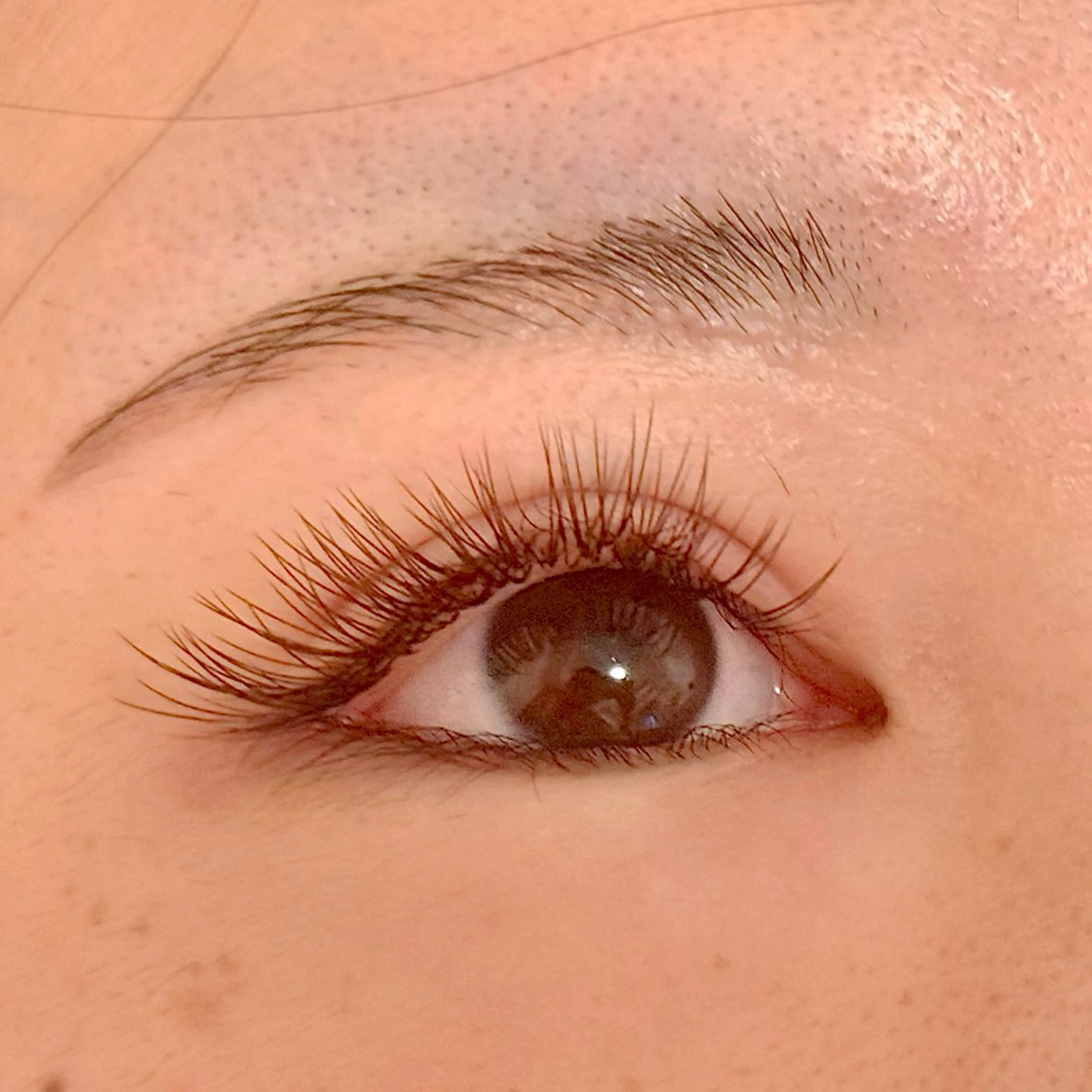 ブラウンまつ毛つけ放題♡の写真