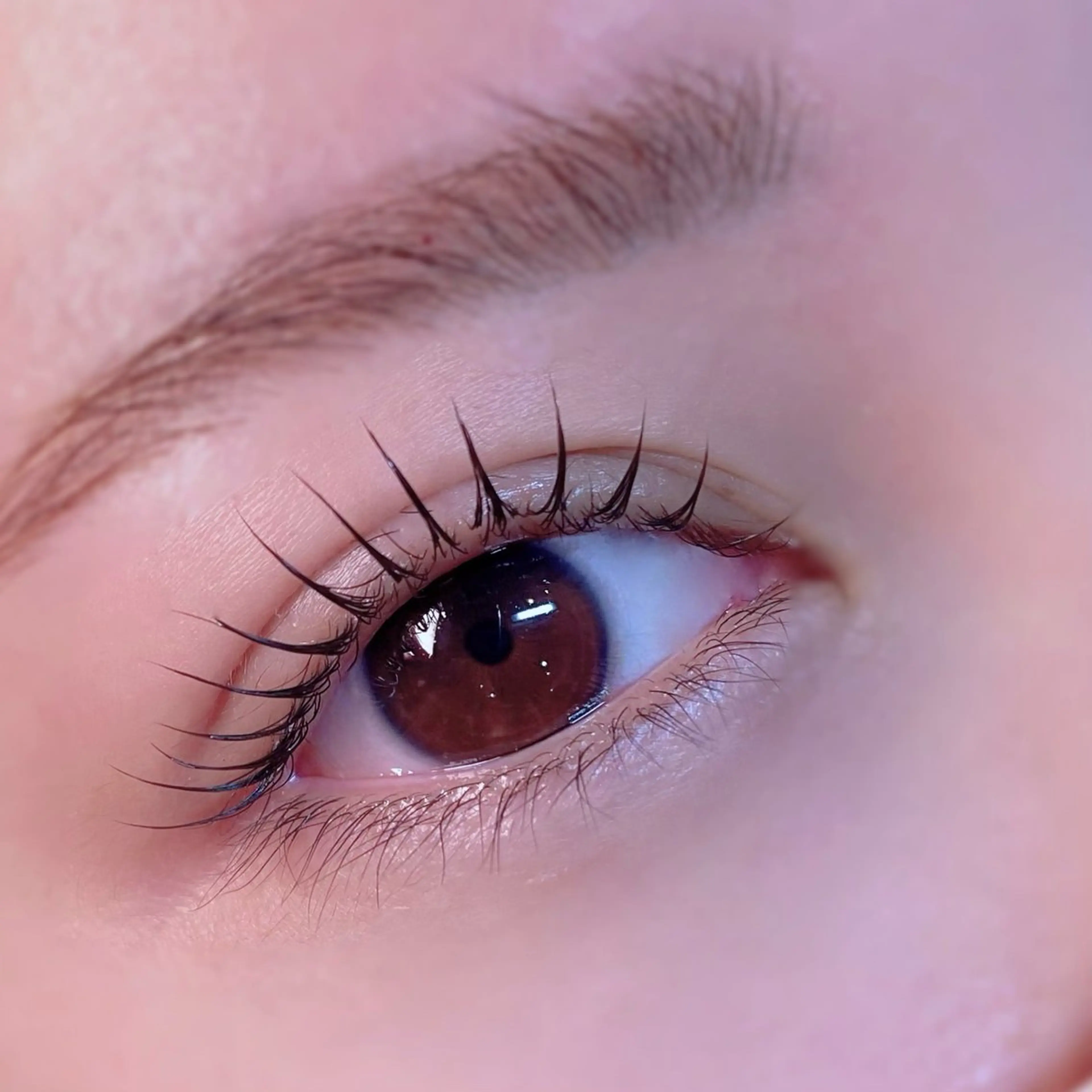 マツエク・マツパ ナチュラル MOE /渋谷・明治神宮前のマツエク・マツパデザイン