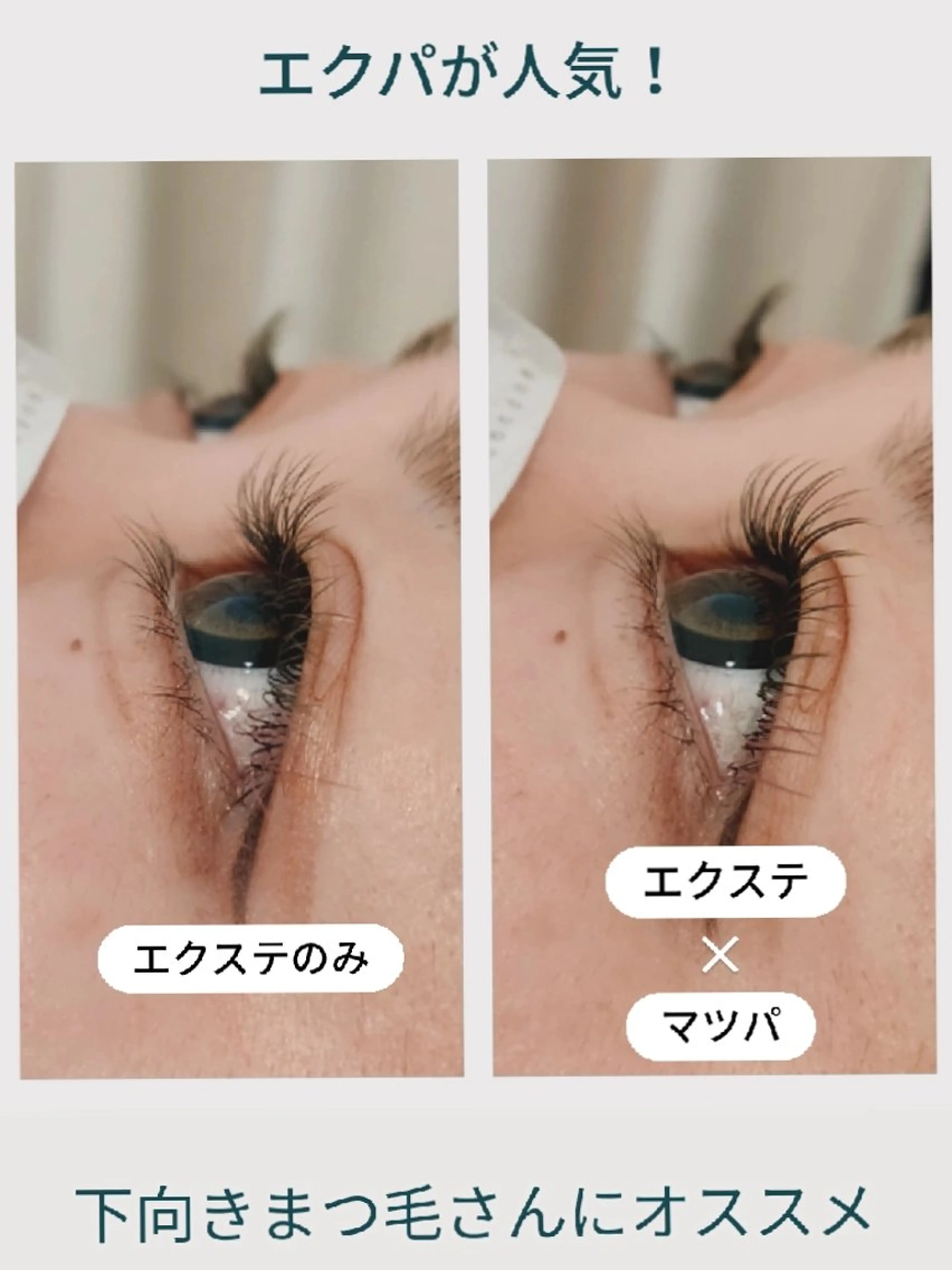 【ご新規様】エクパ💕(自然にぱっちり)マツエク100本まで+マツパ(コーティング仕上げ✨)の写真