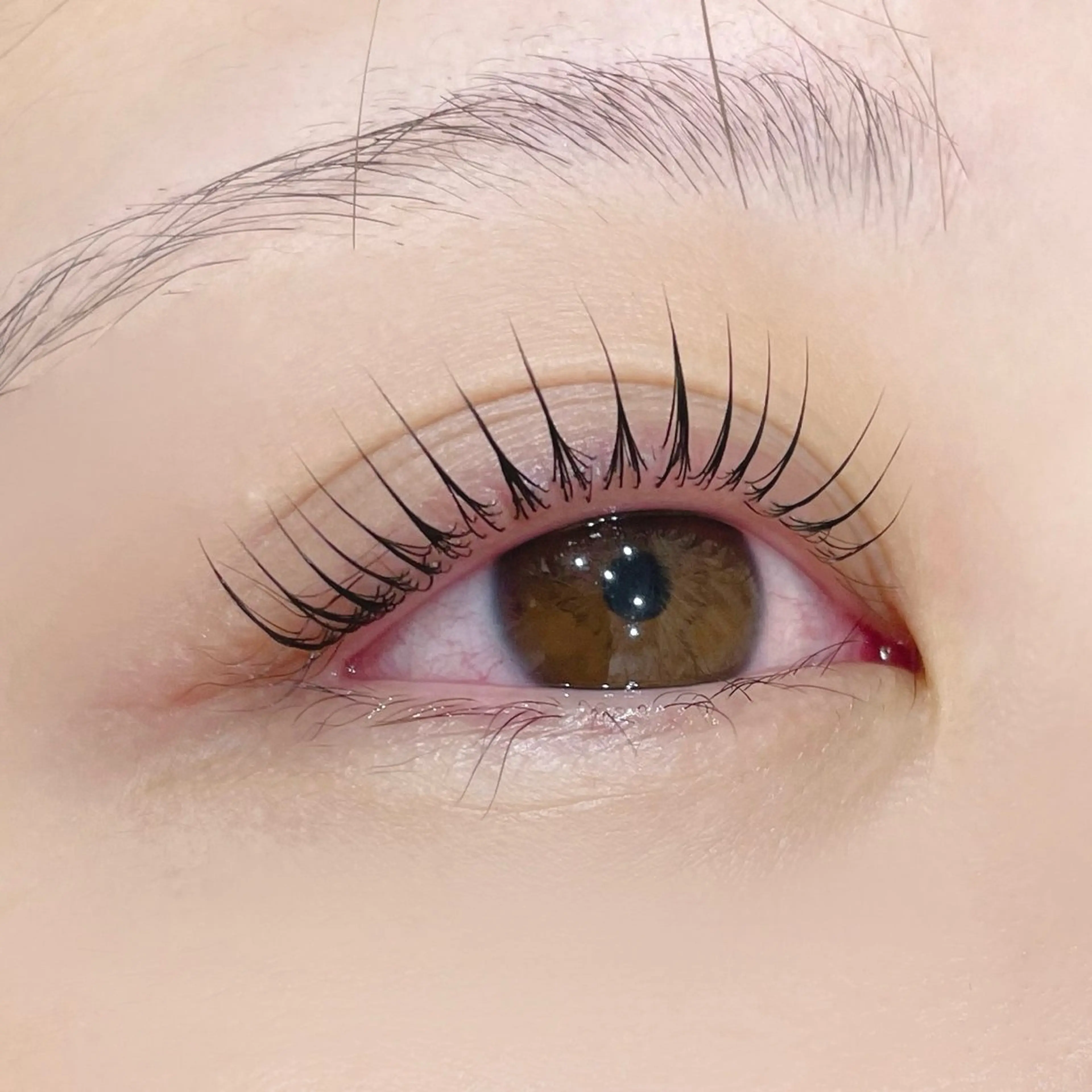【ミニモ限定✨】パリジェンヌラッシュリフト🍒オフ+500円の写真