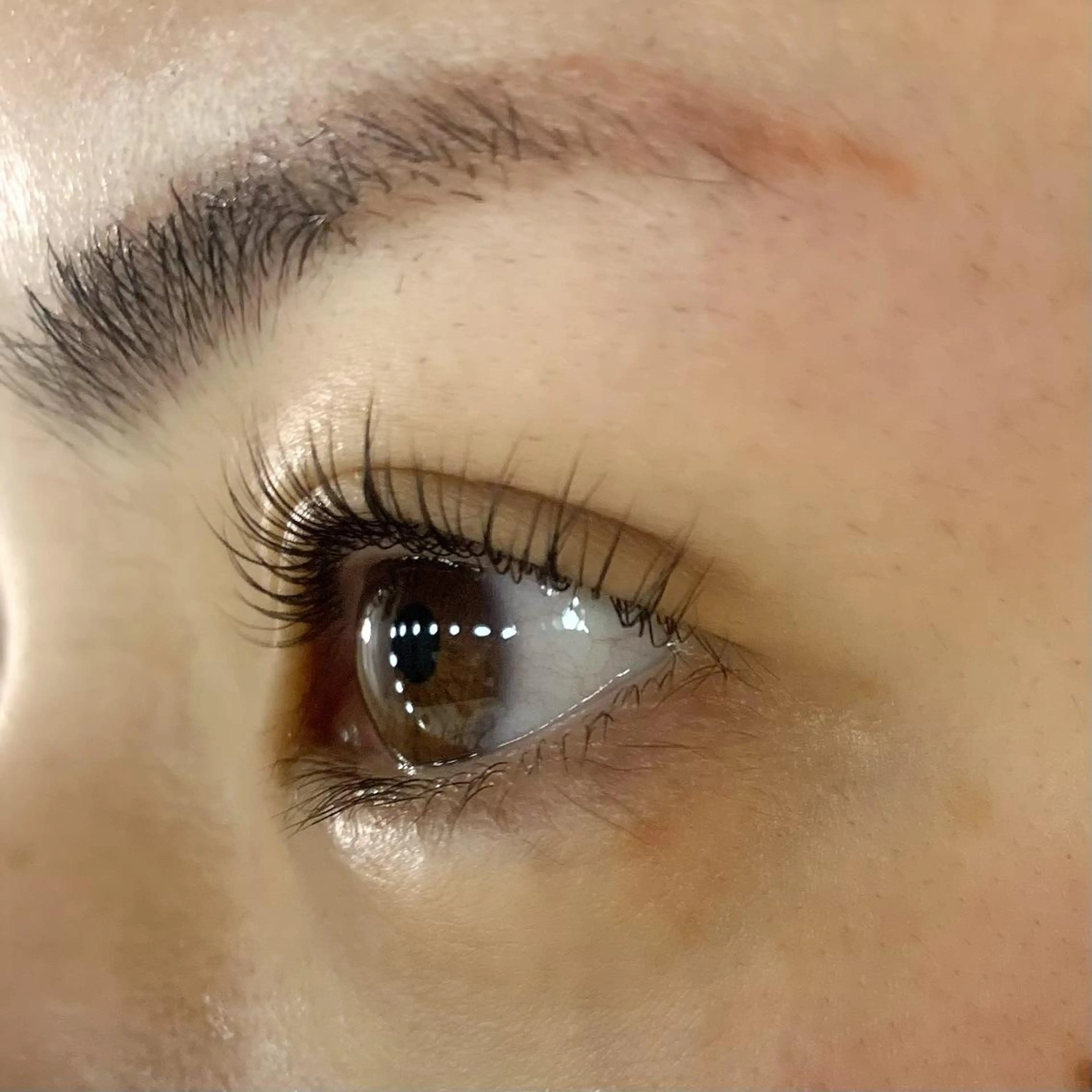 マツエク・マツパ パリジェンヌラッシュリフト Celeste Venus所属・🧸Celeste Venusのマツエク・マツパデザイン