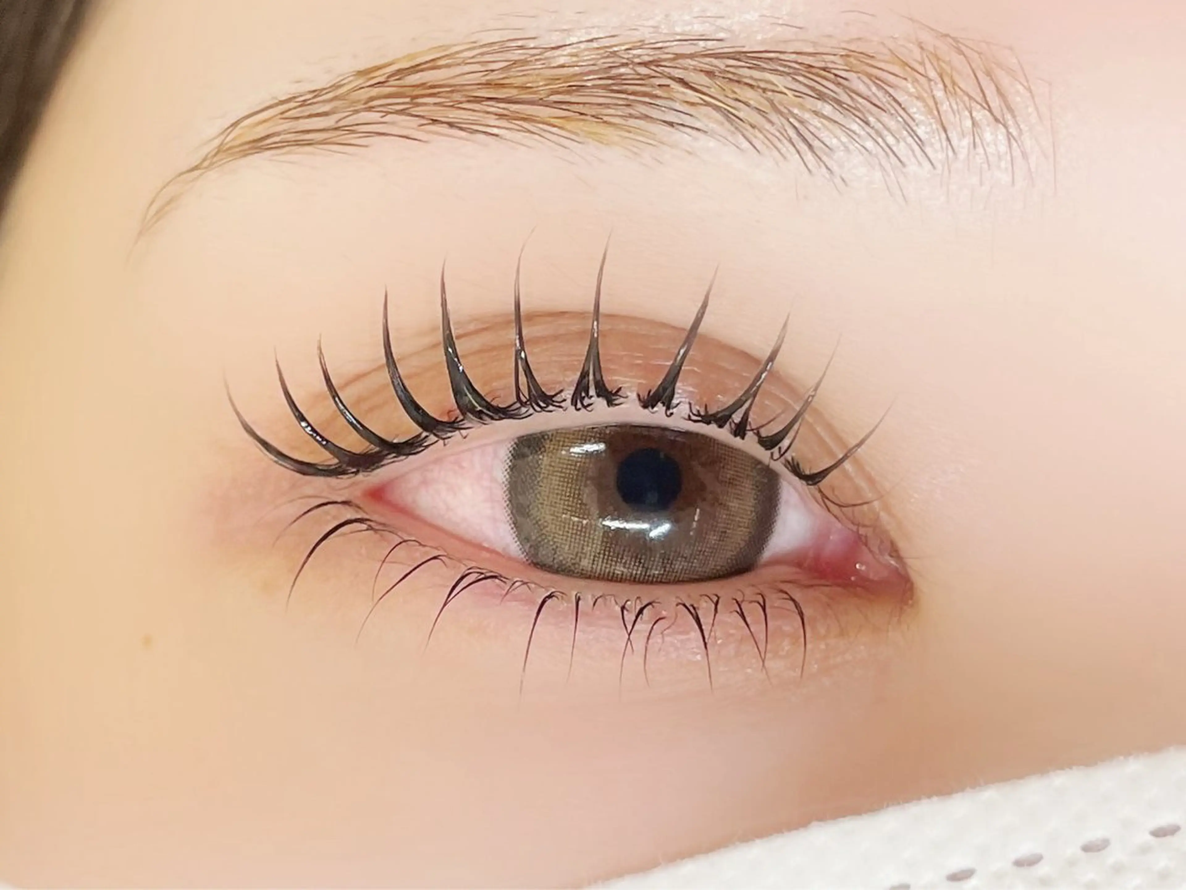 マツエク・マツパ サクラブロウ天神 kyokaのマツエク・マツパデザイン