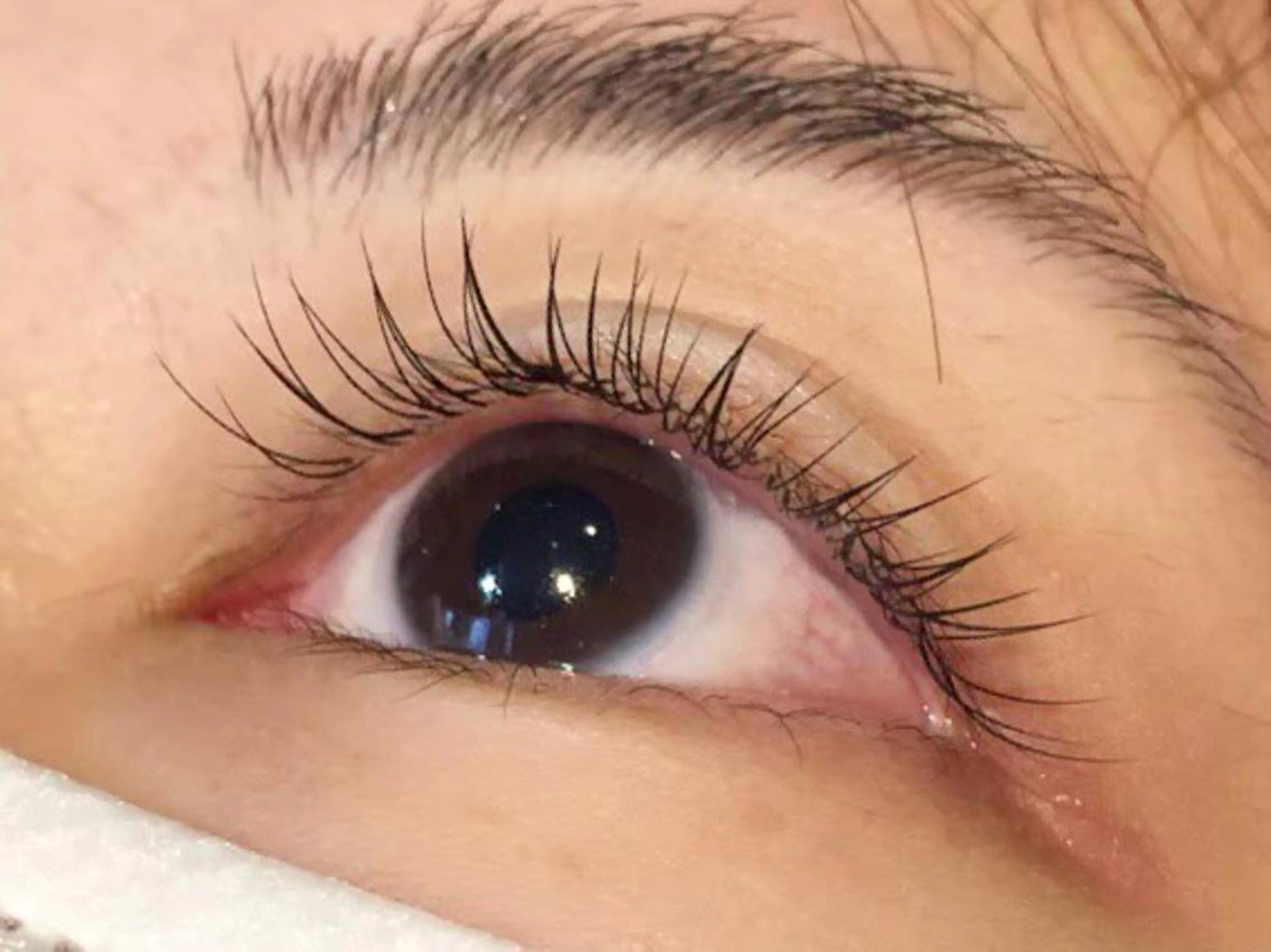 マツエク・マツパ Ai Quick 増田のマツエク・マツパデザイン