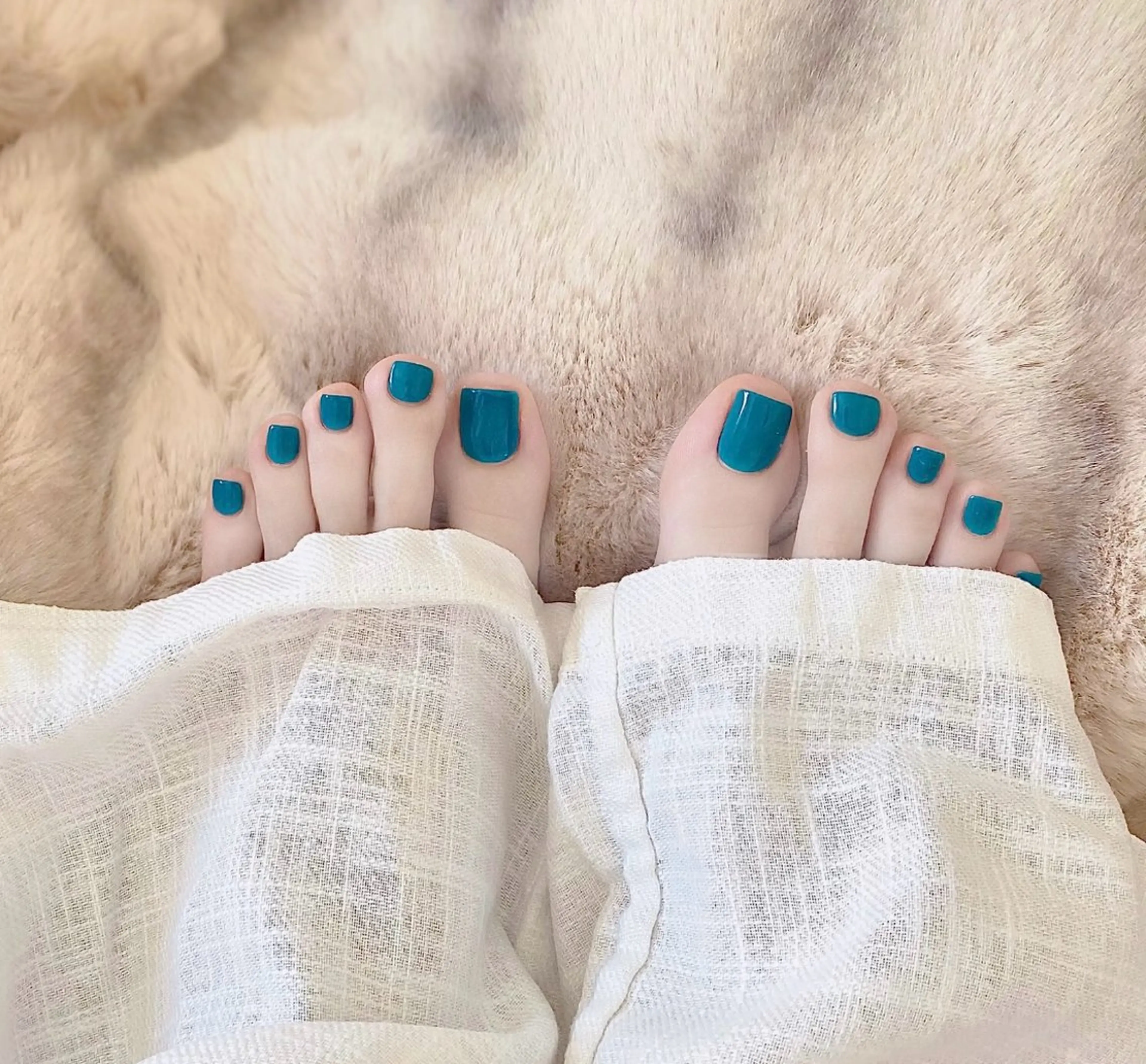 ネイル フットネイル ワンカラーネイル 里奈 Nailのネイルデザイン