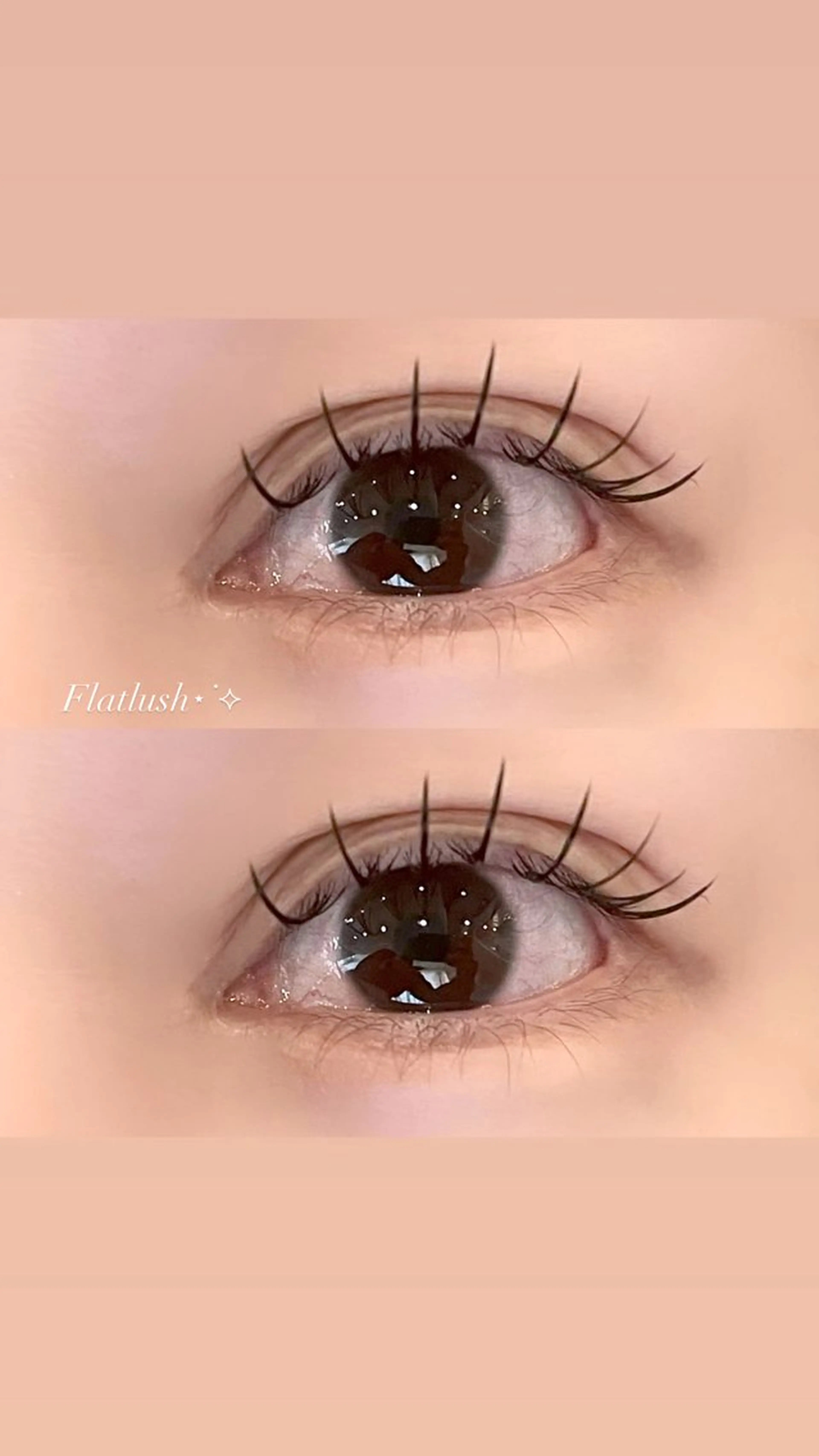 【練習モデル】  オフなし フラットラッシュ80~100本※現金のみの写真