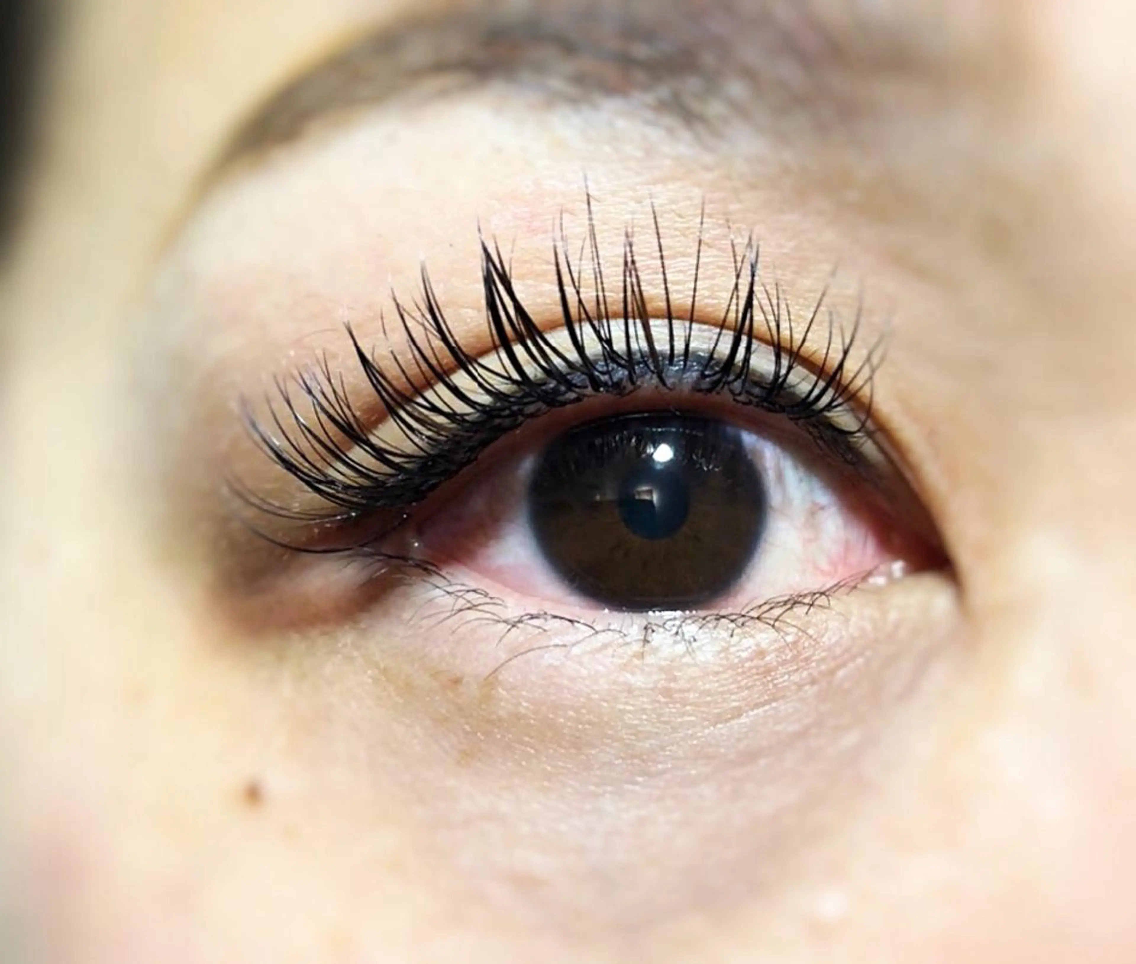 マツエク・マツパ Q-LEA 四条大宮 クリアのマツエク・マツパデザイン