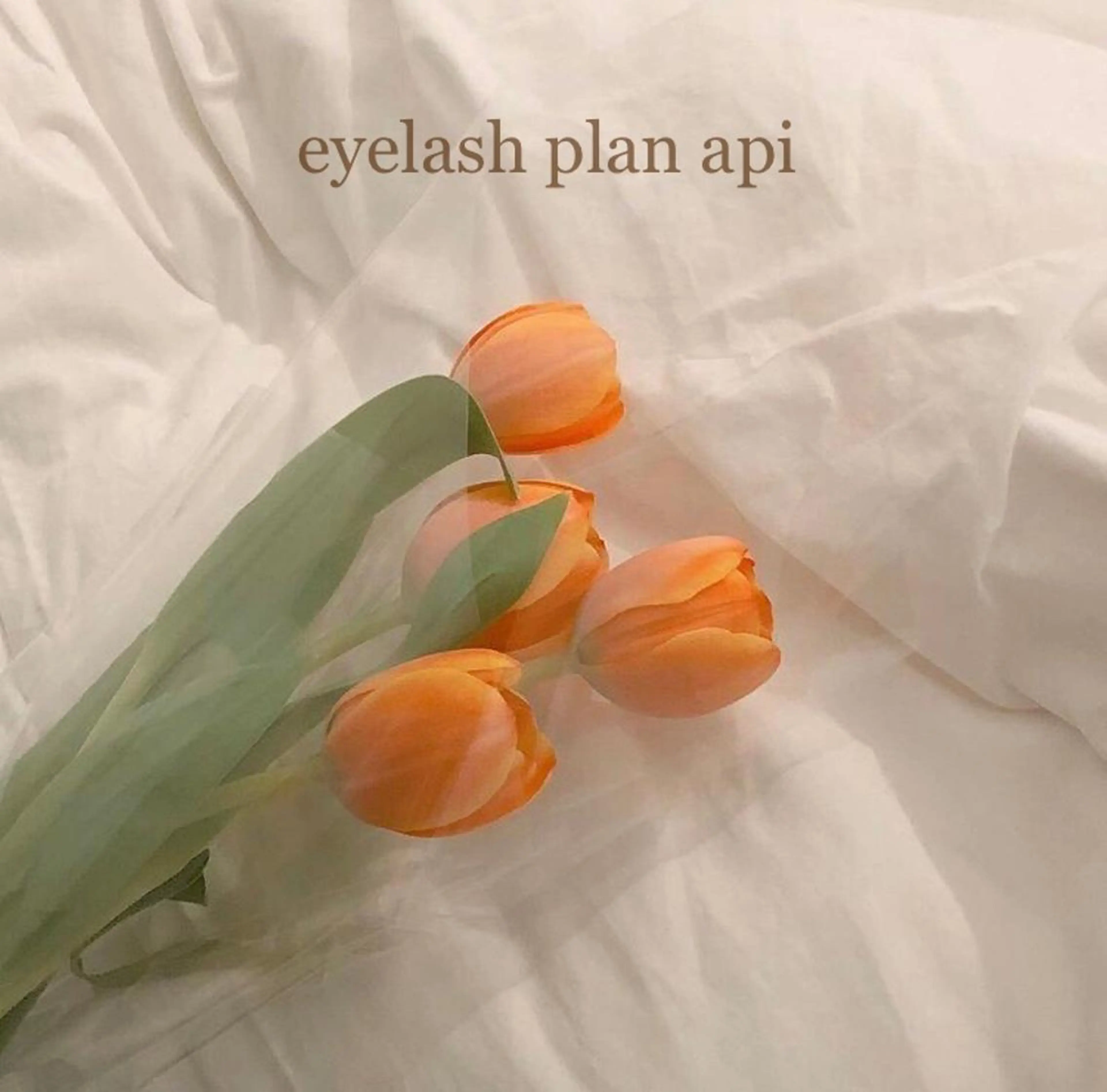 《eyelash ｉｉｔｅ》森のマツエク・マツパデザイン