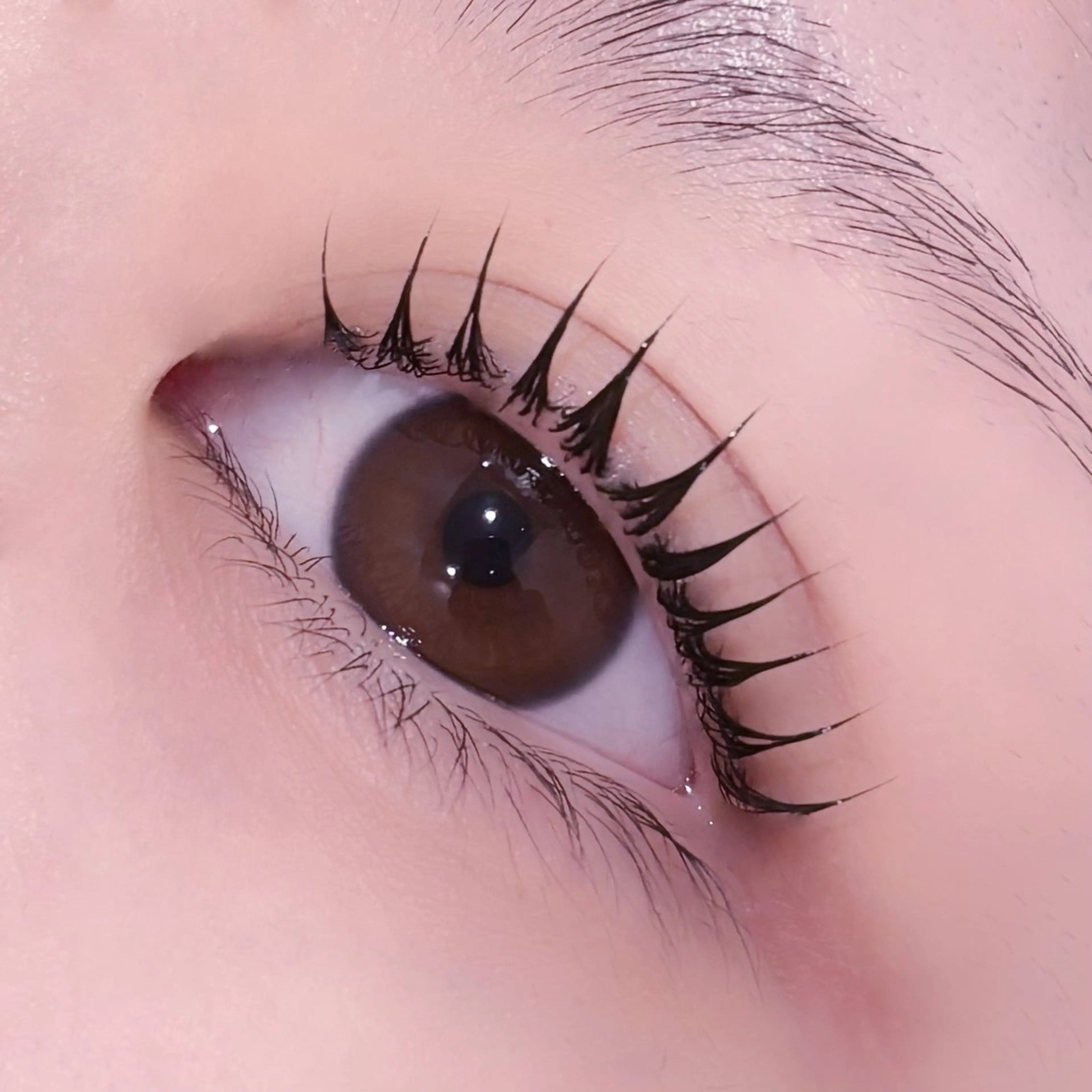 前回のご来店から1年以上空いてる方限定⭐️韓国風束間仕上げ🪄🧸パリジェンヌorラッシュリフト🎀の写真