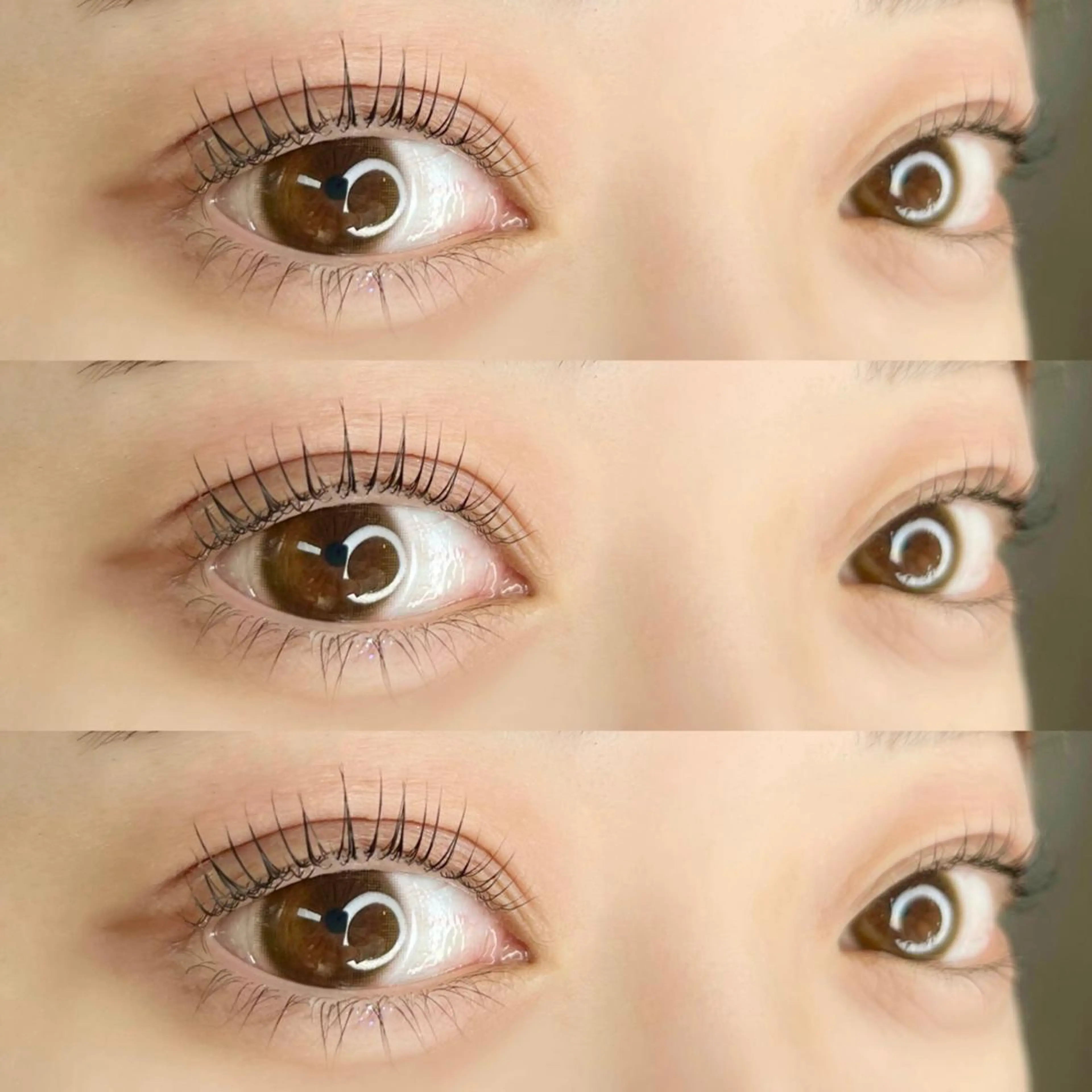 マツエク・マツパ パリジェンヌラッシュリフト マツパ 【LILY】伊沢/ バインド/パリ/エクのマツエク・マツパデザイン