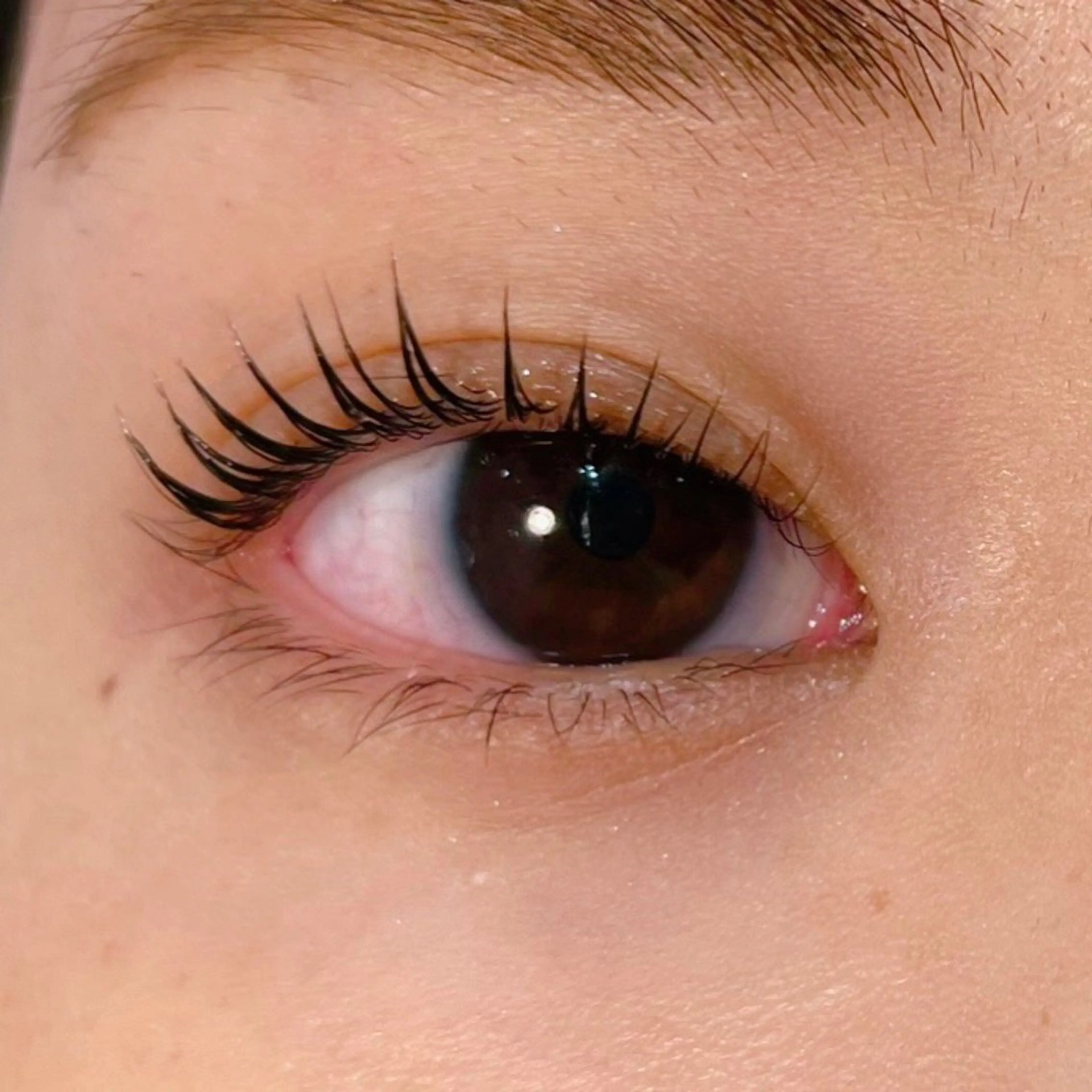 マツエク・マツパ パリジェンヌラッシュリフト 𝐞𝐢𝐠𝐡𝐭 MAO🖤の眉毛・アイブロウイメージ