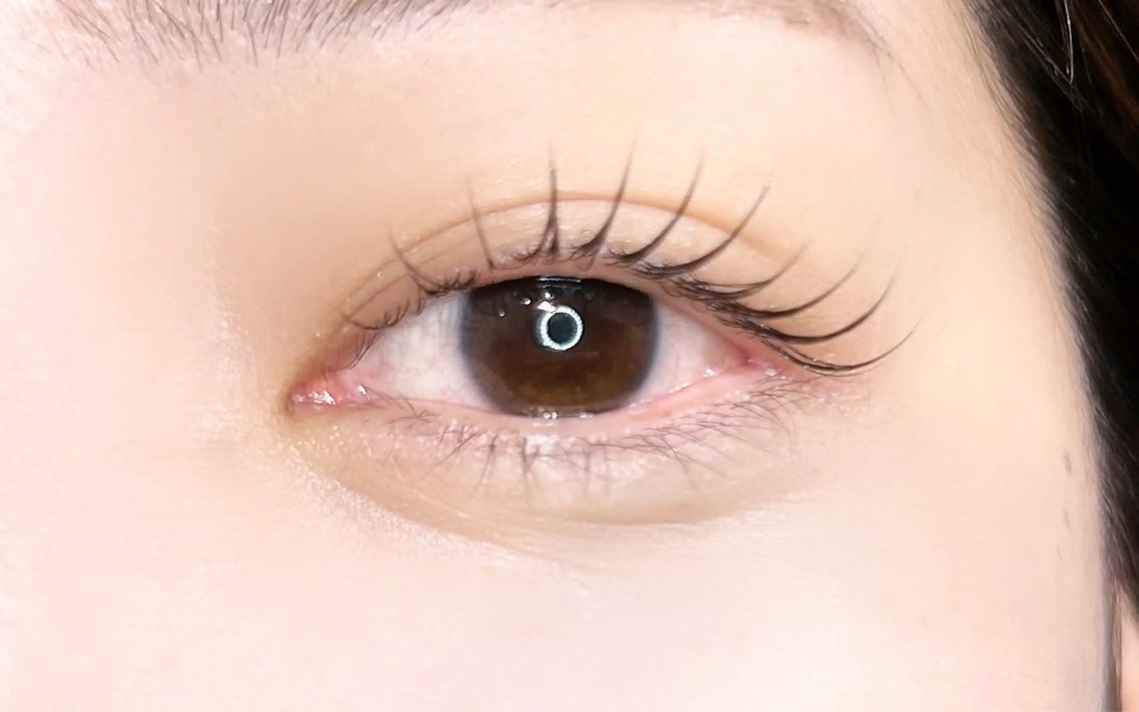 【20代.30代限定❣️】まつ毛パーマの写真