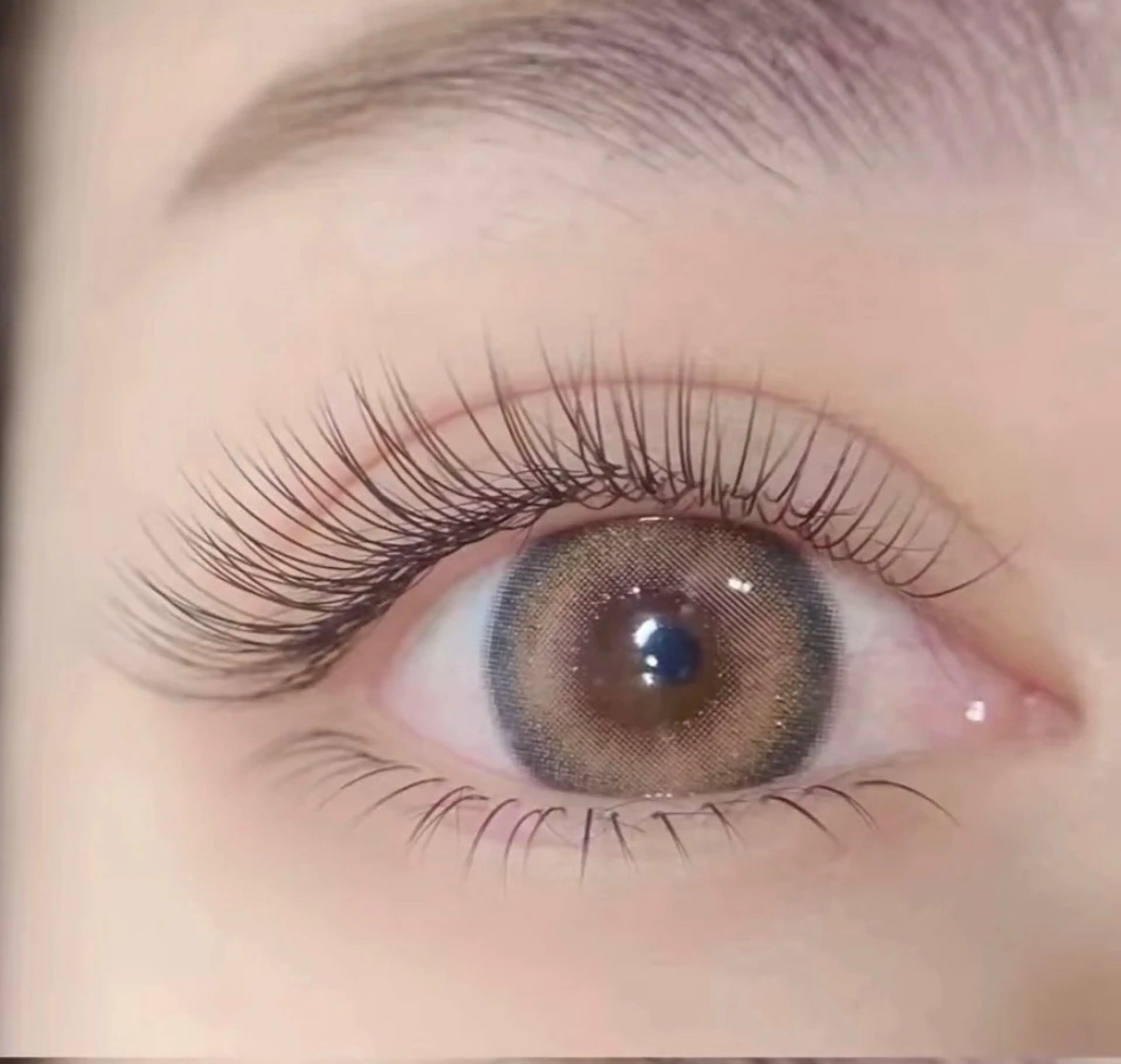 【ぱっちり束感デザイン対応】🎀超軽量フラットラッシュ上120本 下20 本の写真