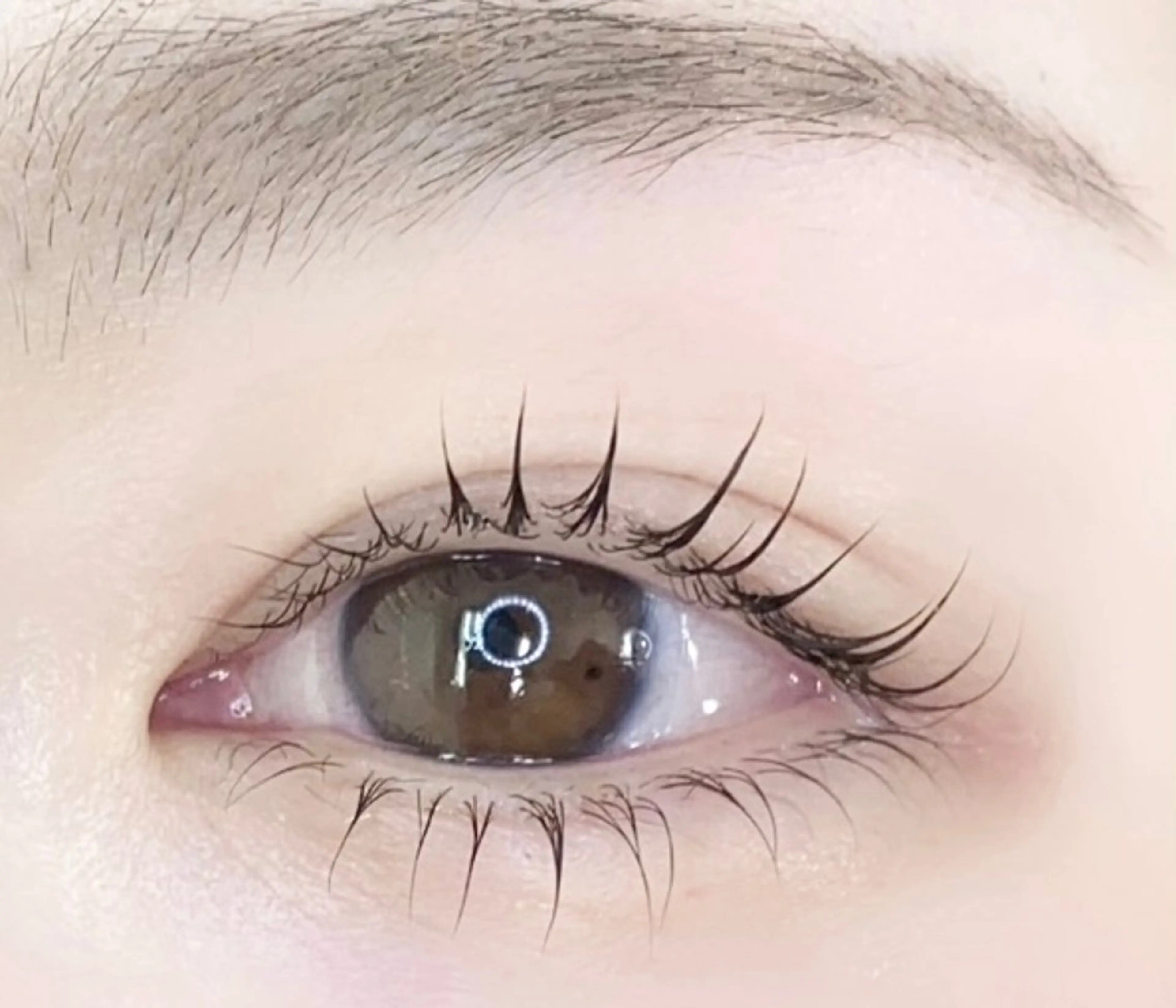 【7/30.31限定】上下まつ毛パーマ・上下パリジェンヌ(コーティング込み)の写真