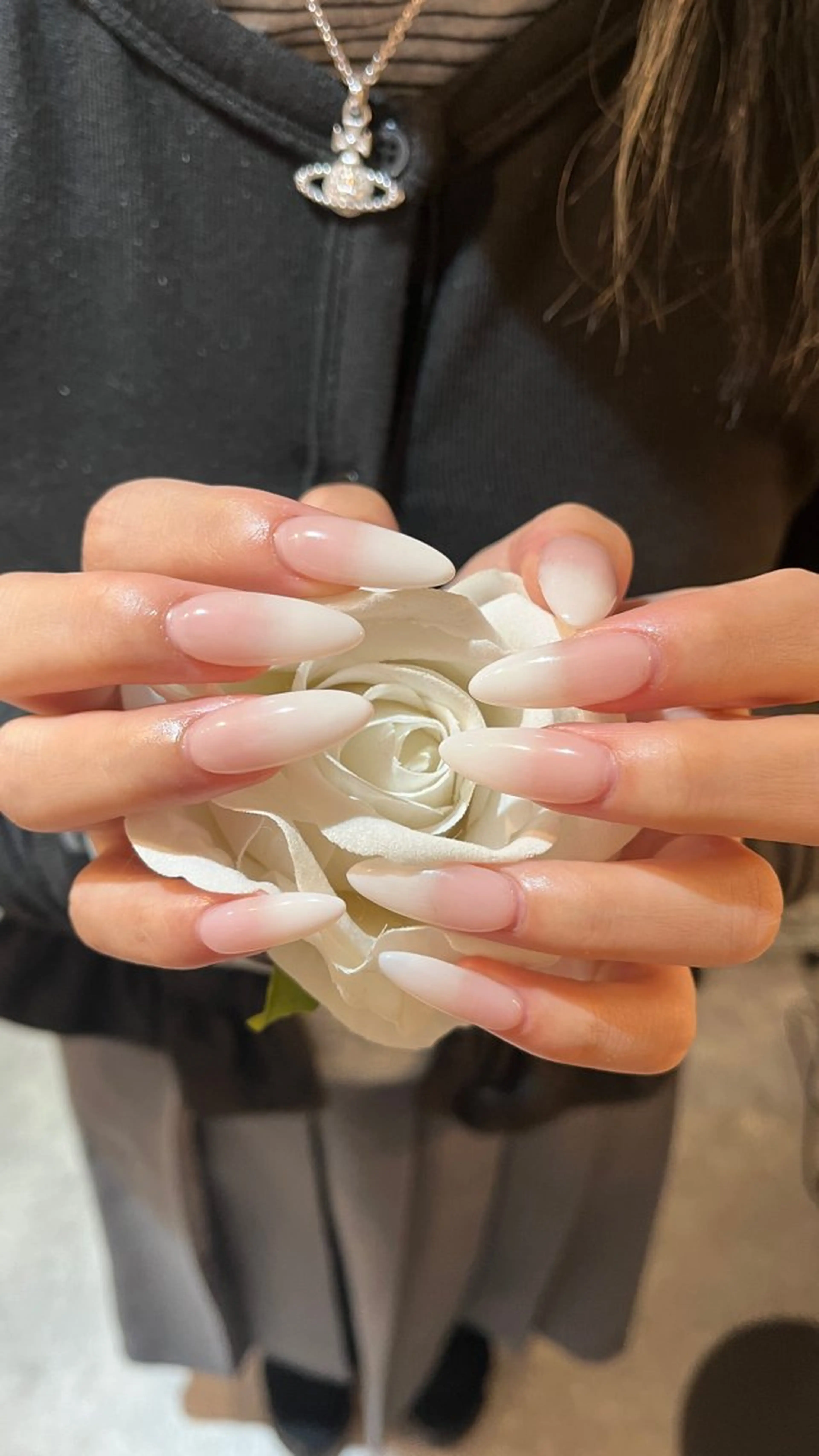 グラデーションの写真