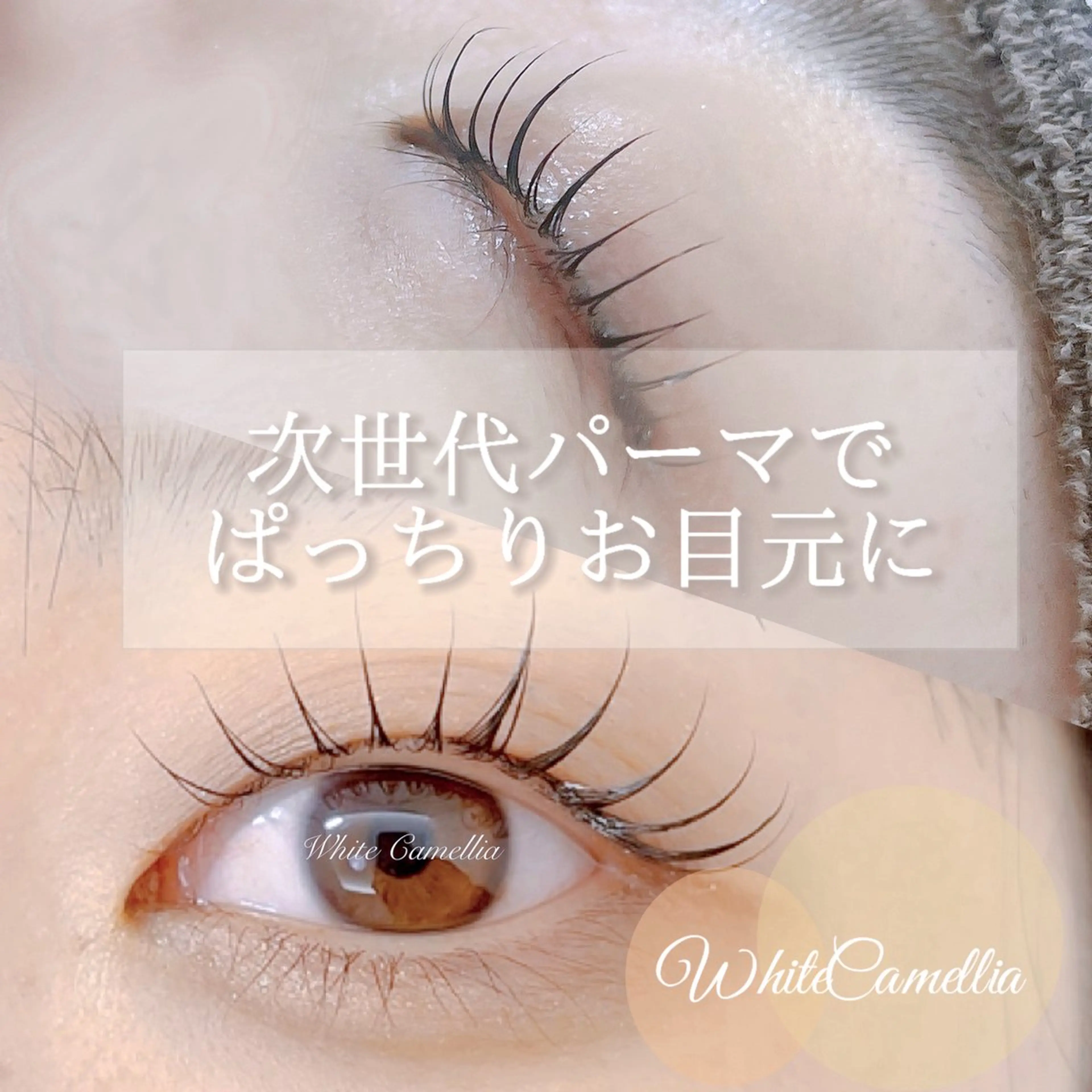 マツエク・マツパ 韓国風束感まつ毛🎀 Nanamiのマツエク・マツパデザイン