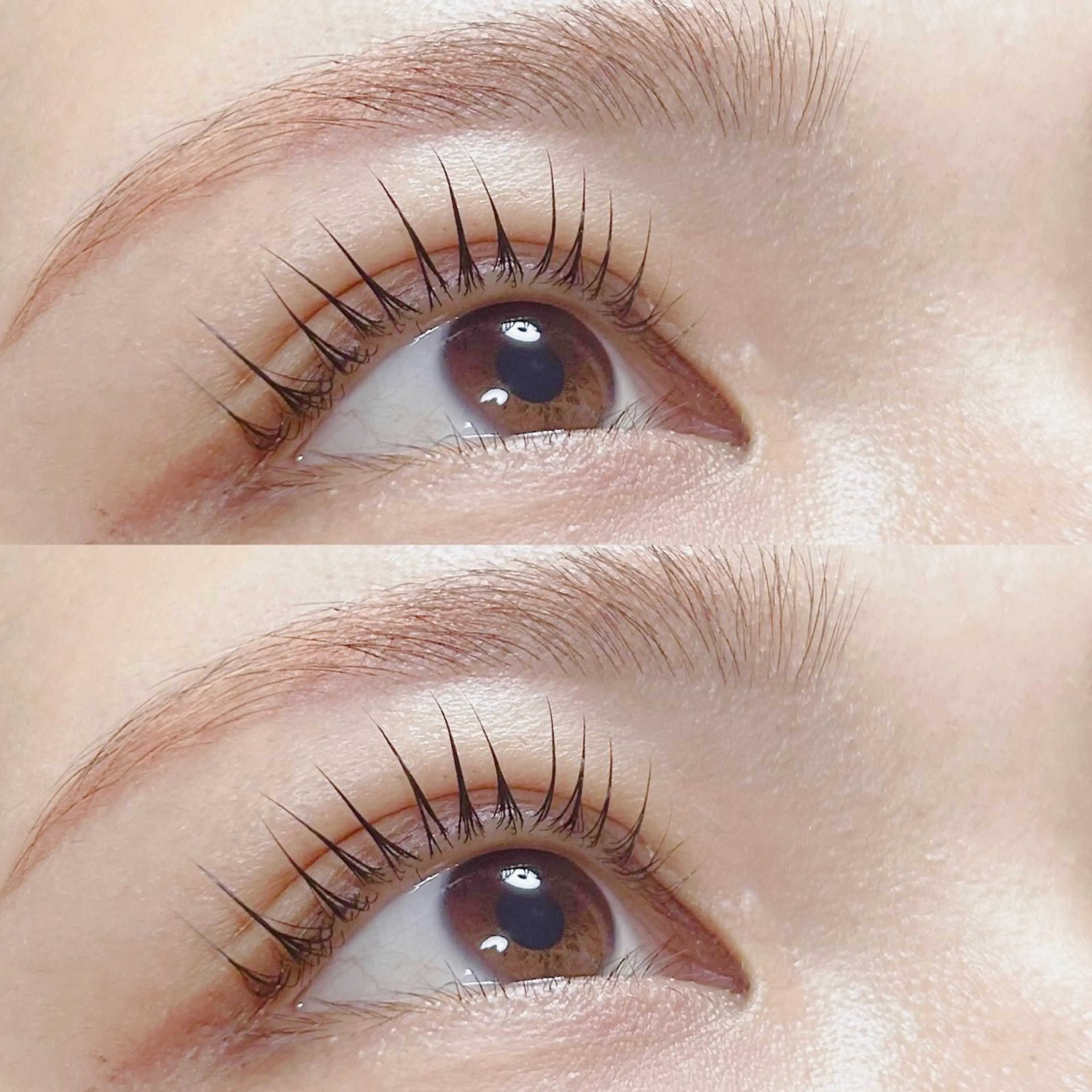 マツエク・マツパ マツパ トレンド眉🌈✨ marinaの眉毛・アイブロウイメージ