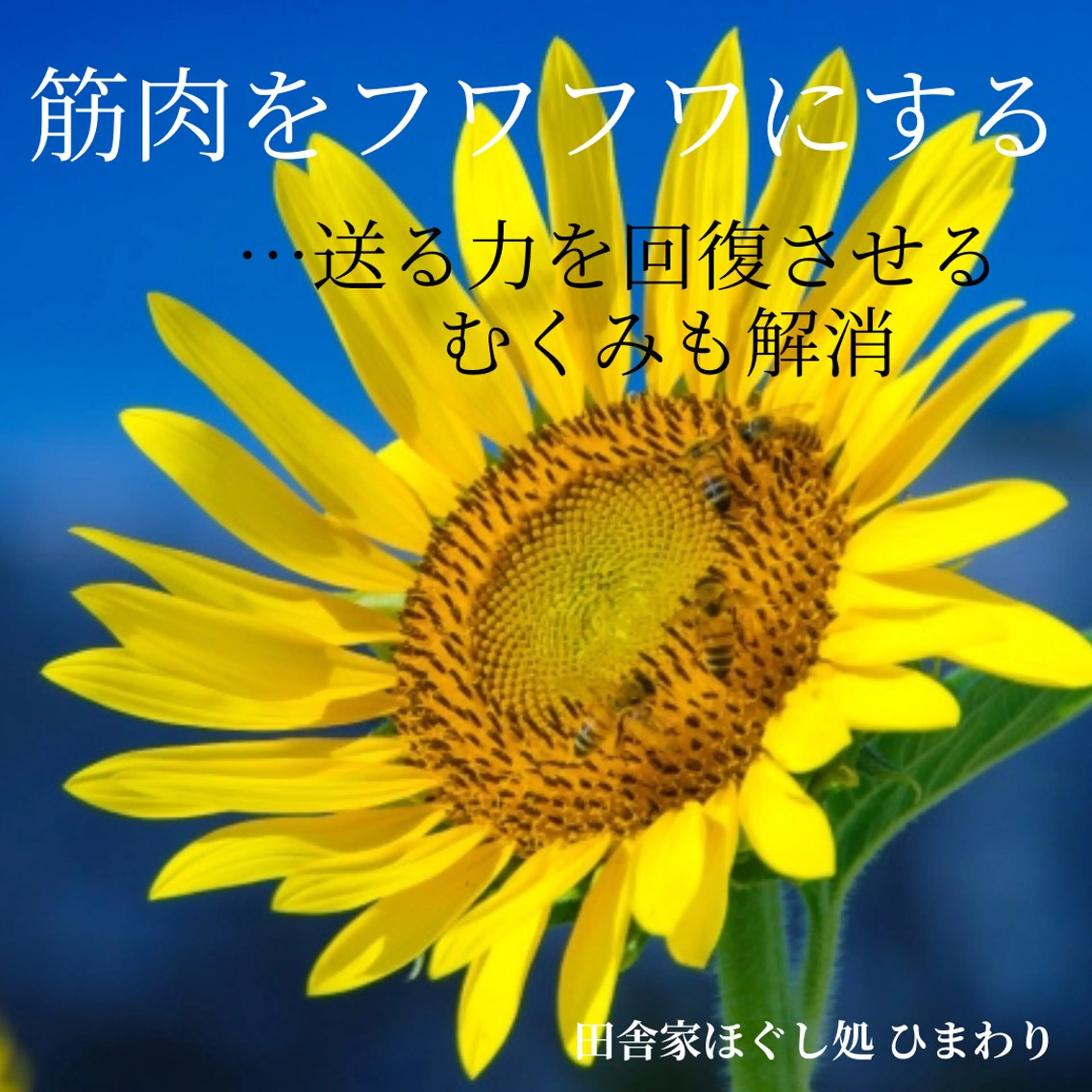 山嵜 まりこのその他イメージ