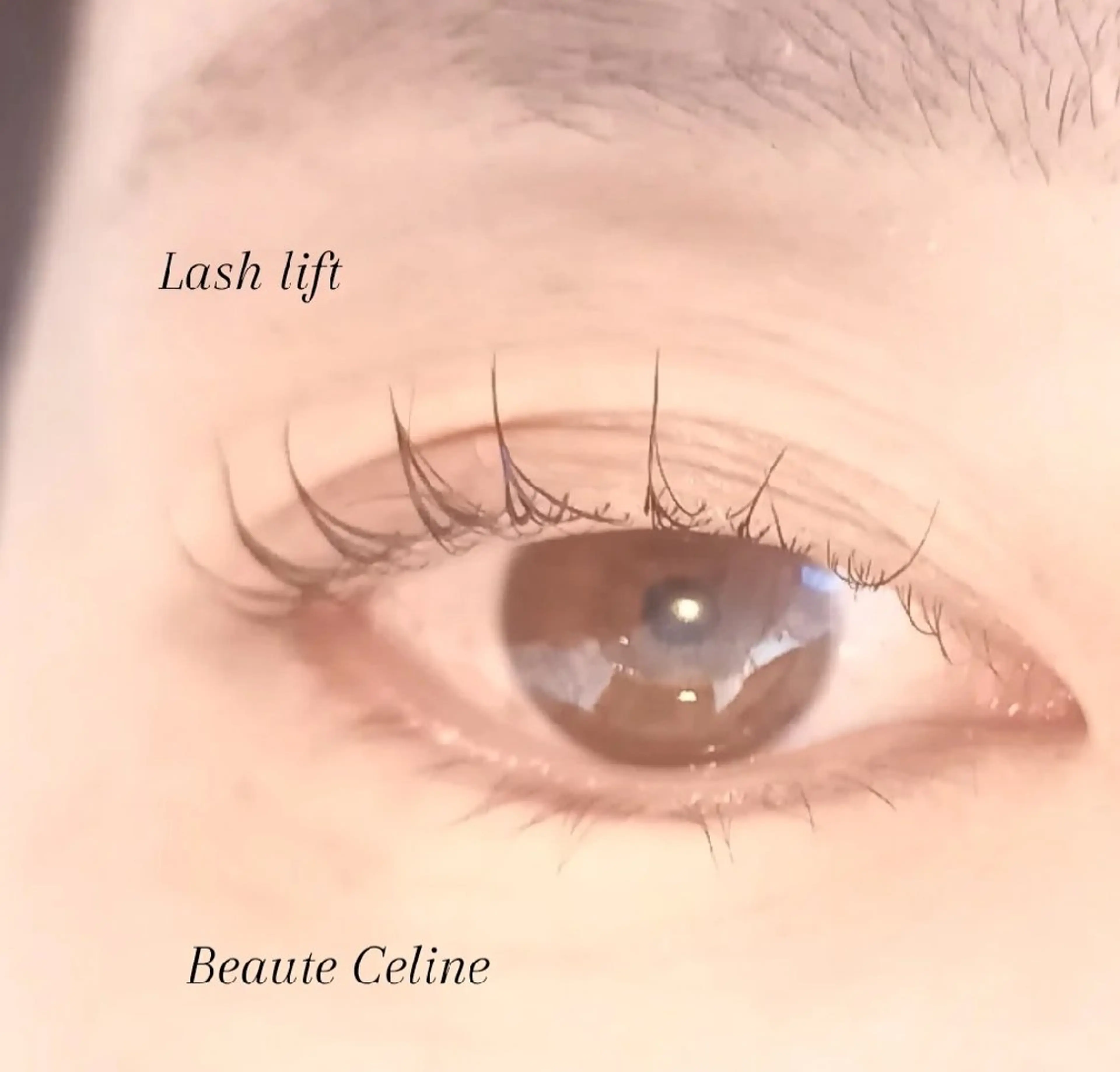 マツエク・マツパ マツパ 8時～✨beaute Celine🌛🌹のマツエク・マツパデザイン