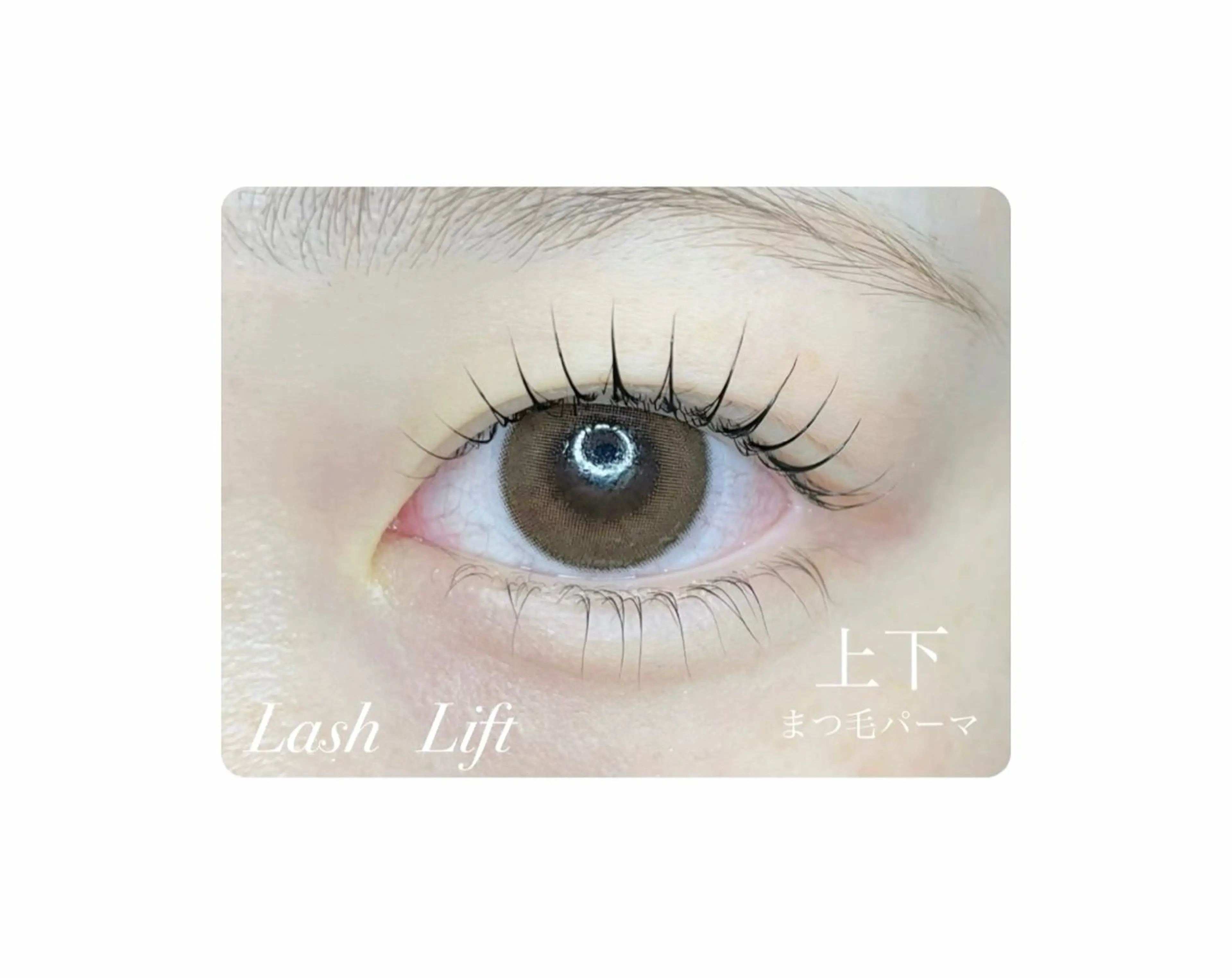 マツエク・マツパ 🤍下村 絢香🤍のマツエク・マツパデザイン