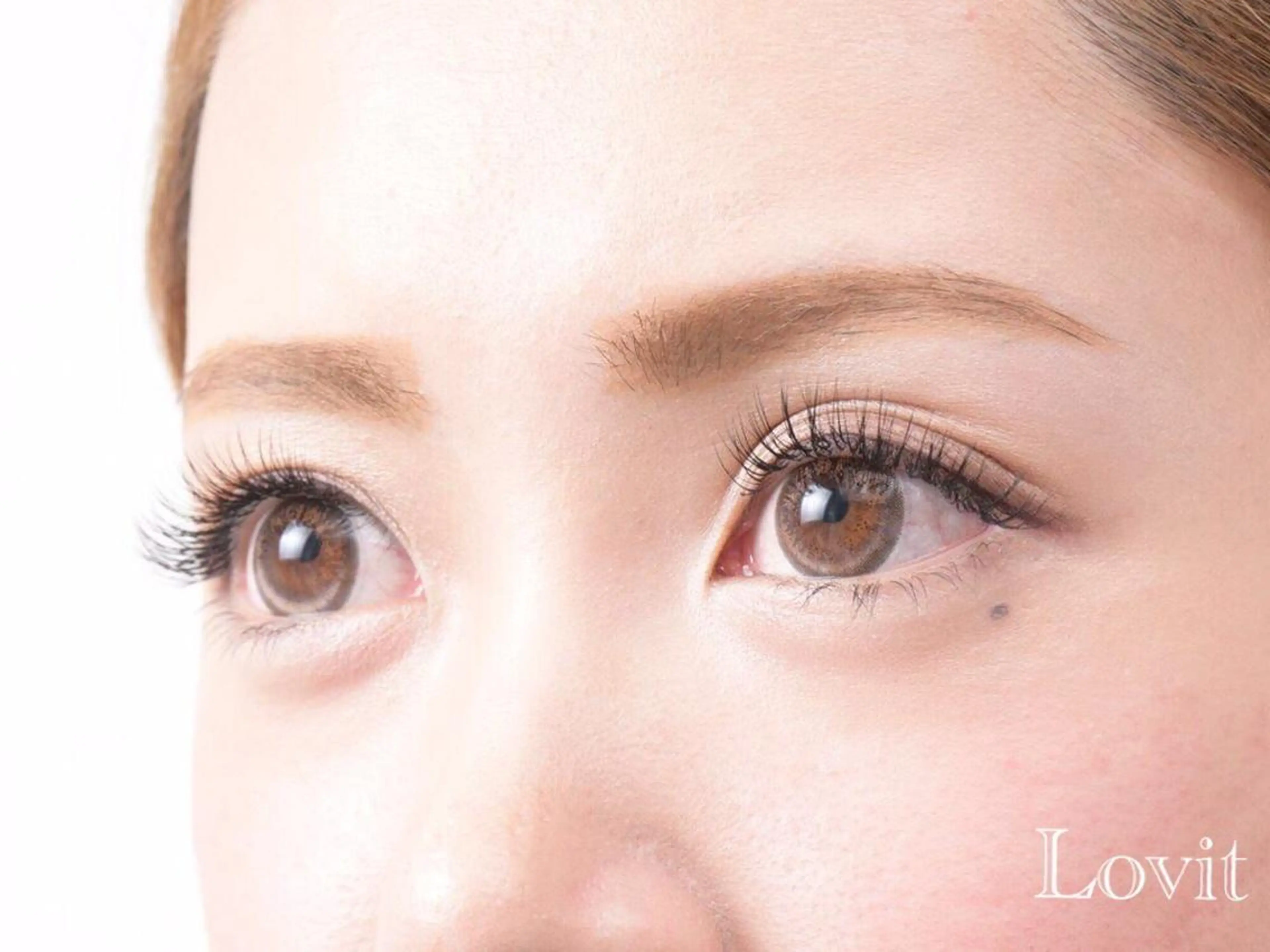 マツエク・マツパ セクシー マツエク lovit ラビットのマツエク・マツパデザイン