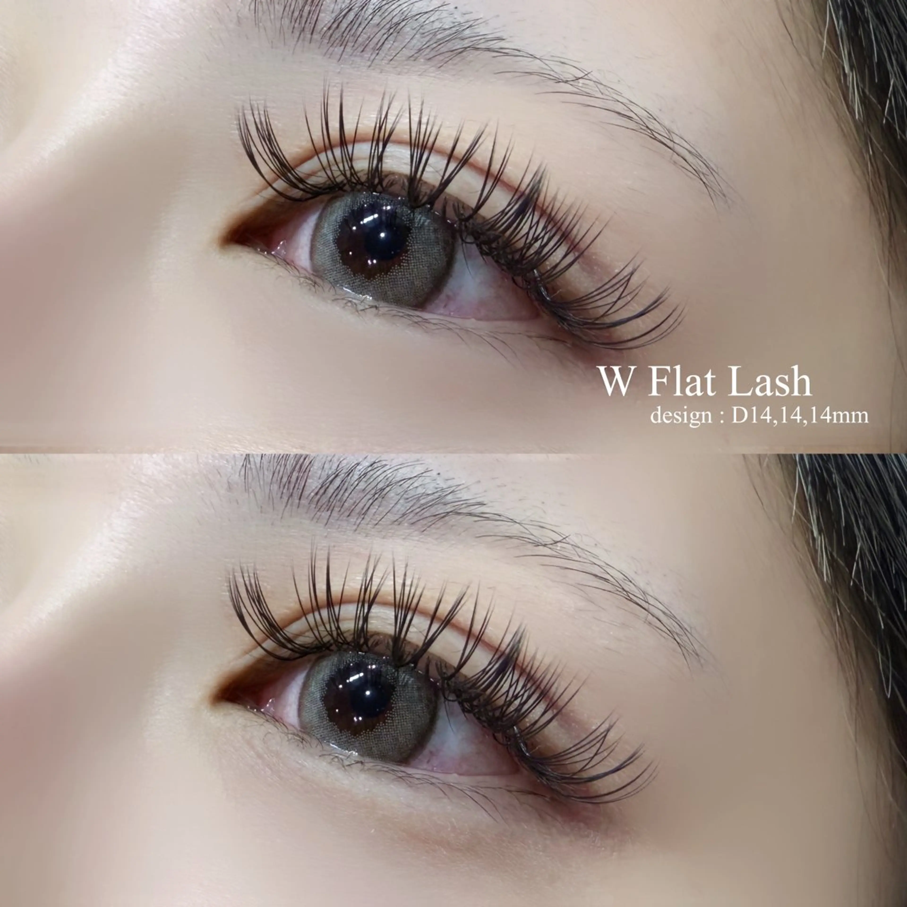 《 本日限定 》 LED💡 ̖́-‬ Flat Lash 120 ✧*｡の写真