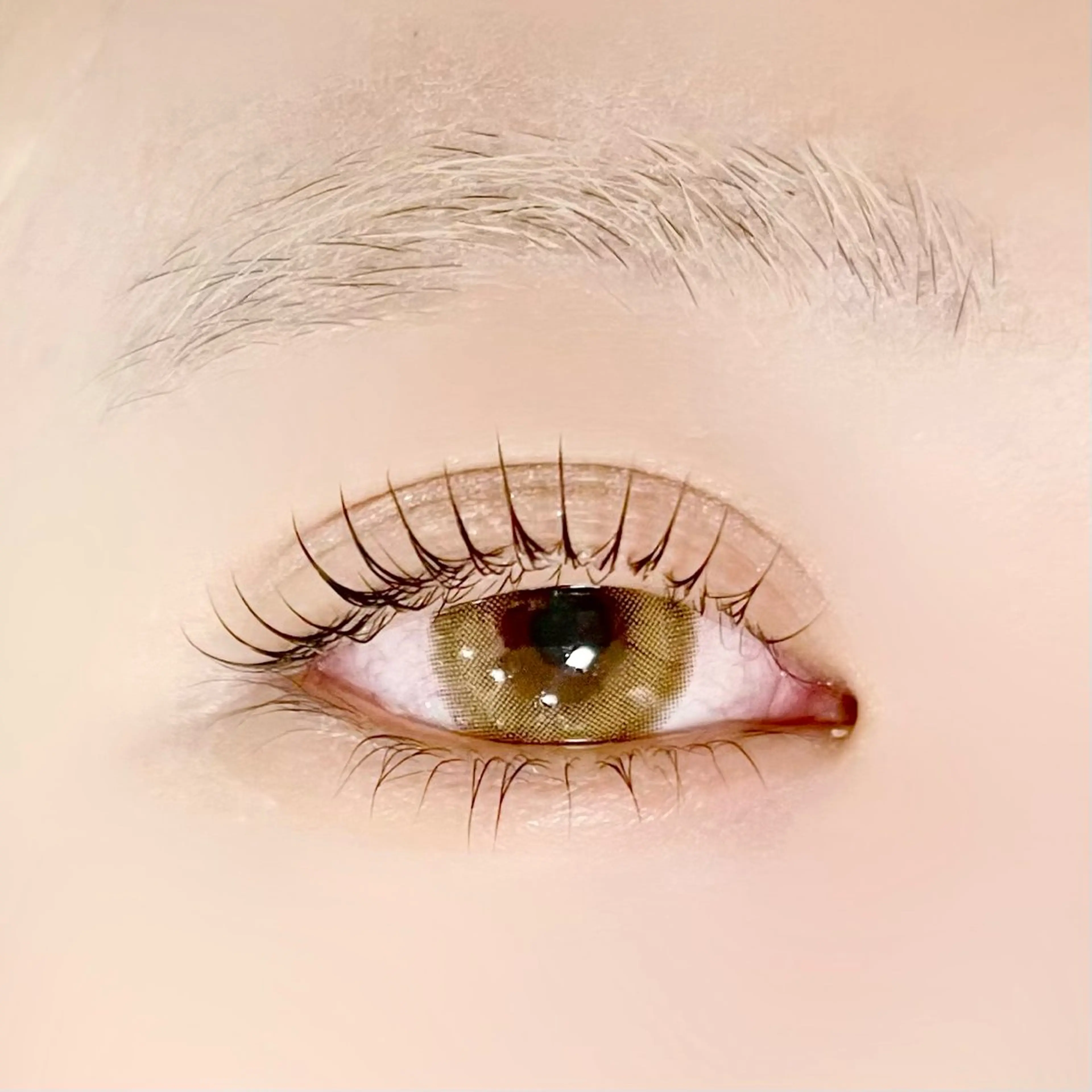 マツエク・マツパ マツパ fastlash rinのマツエク・マツパデザイン