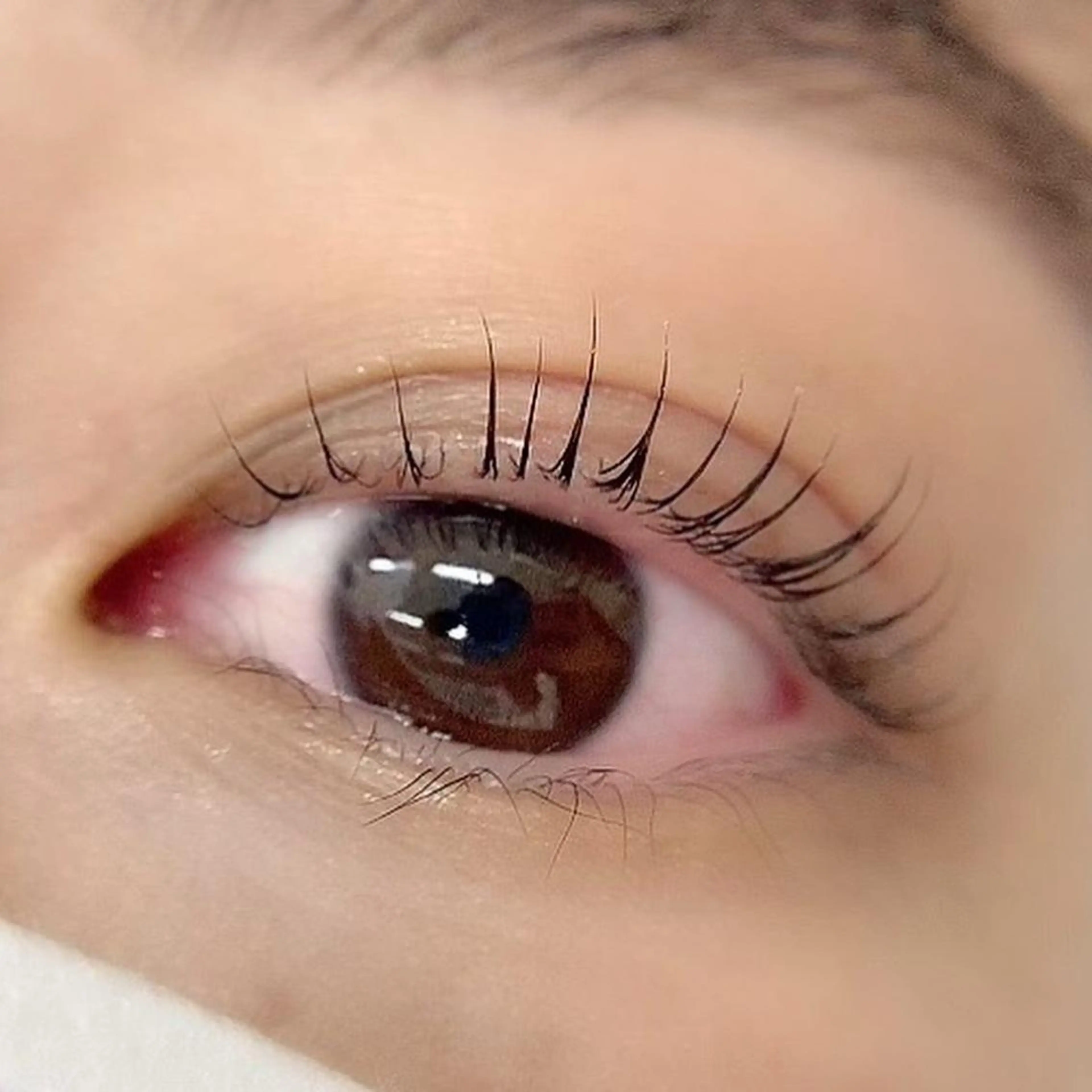 マツエク・マツパ 一重×まつ毛パーマ 小野寺 おのでらのマツエク・マツパデザイン