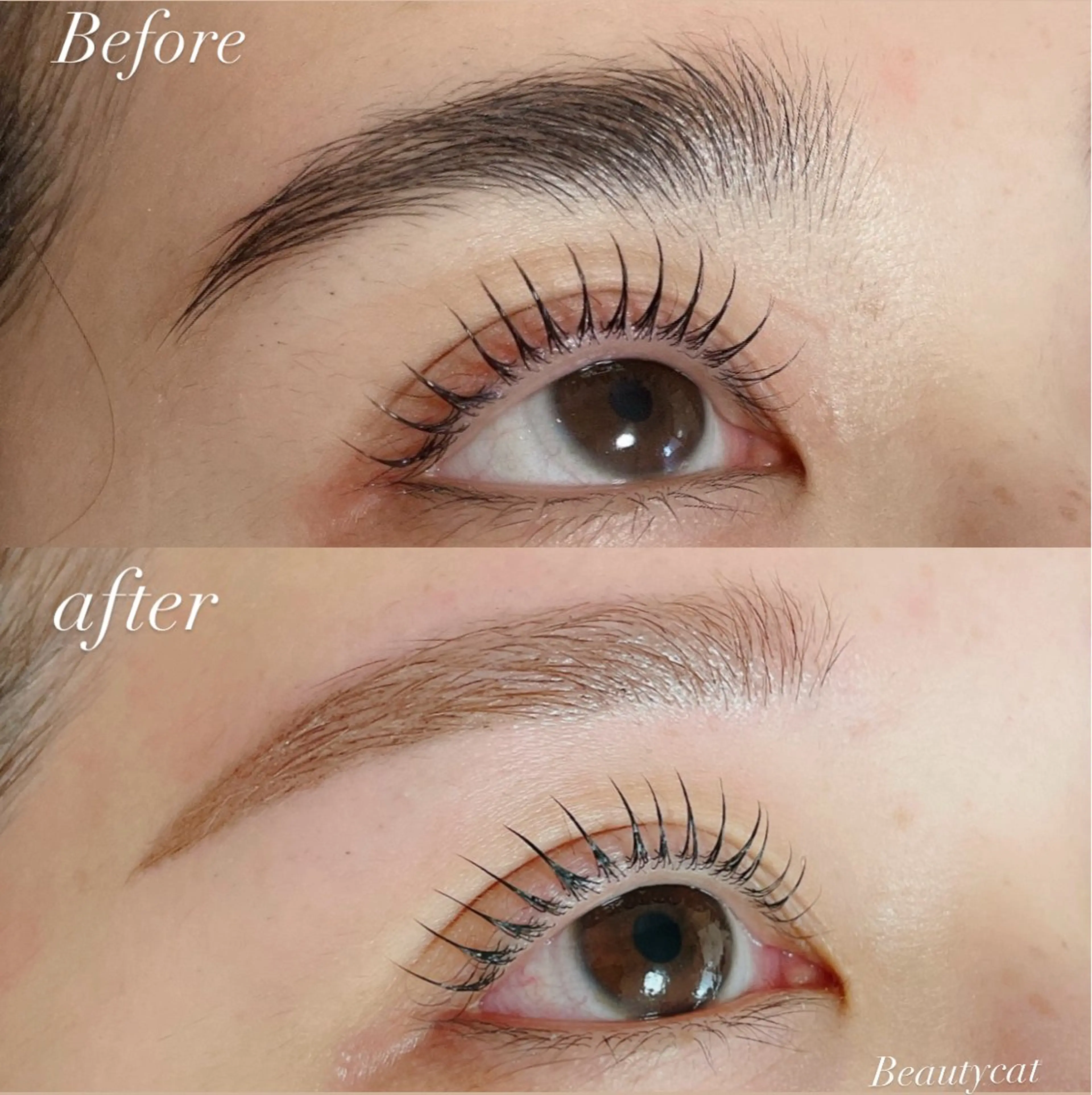 アイブロウ ワックス脱毛 眉カット その他(アイブロウ) Beautycat Chihiroのマツエク・マツパデザイン