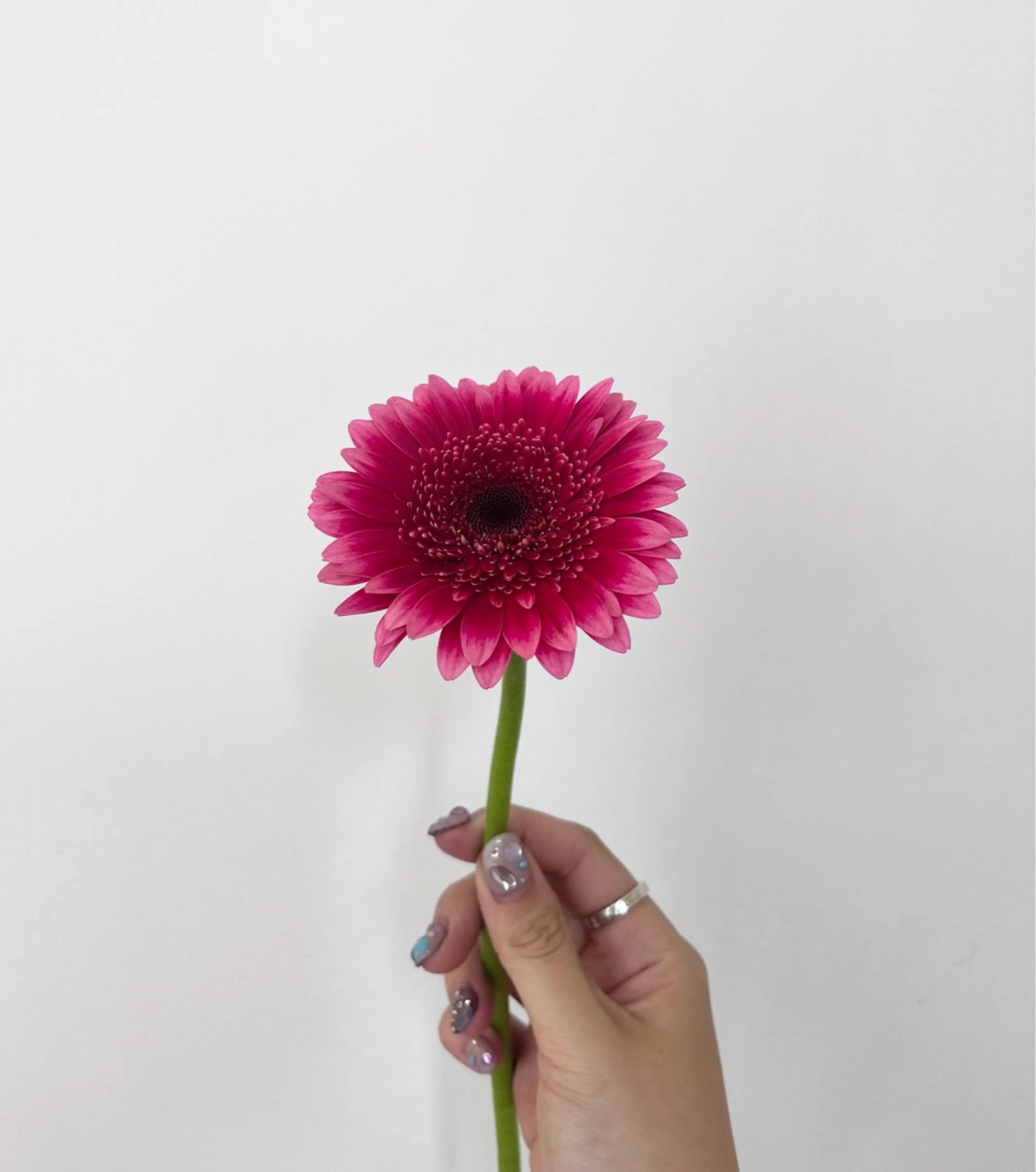 カラー 暖色カラー／ ヘアセット🌛櫻井舞のヘアスタイル