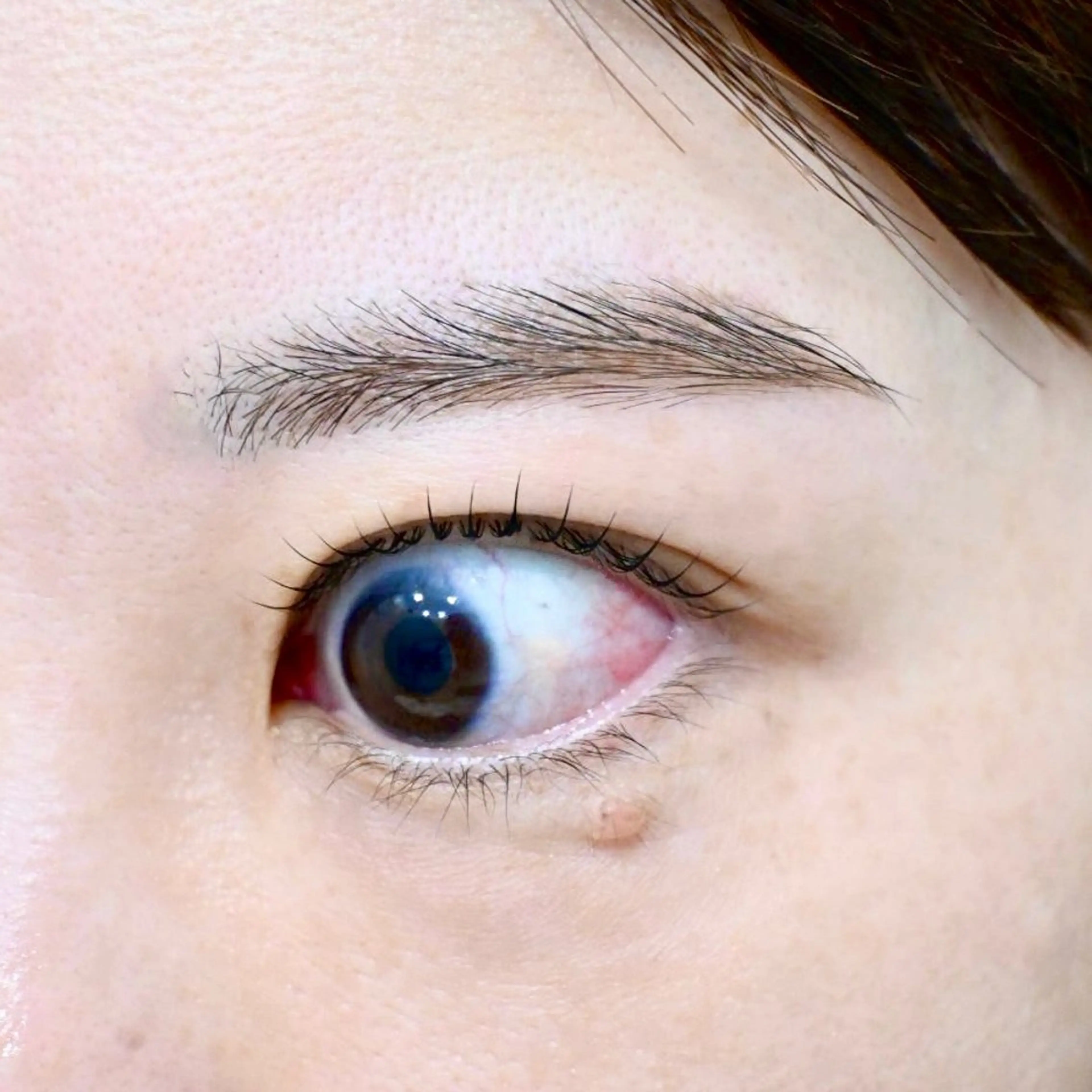 アイブロウ マツパ テトのチヒロ .のマツエク・マツパデザイン