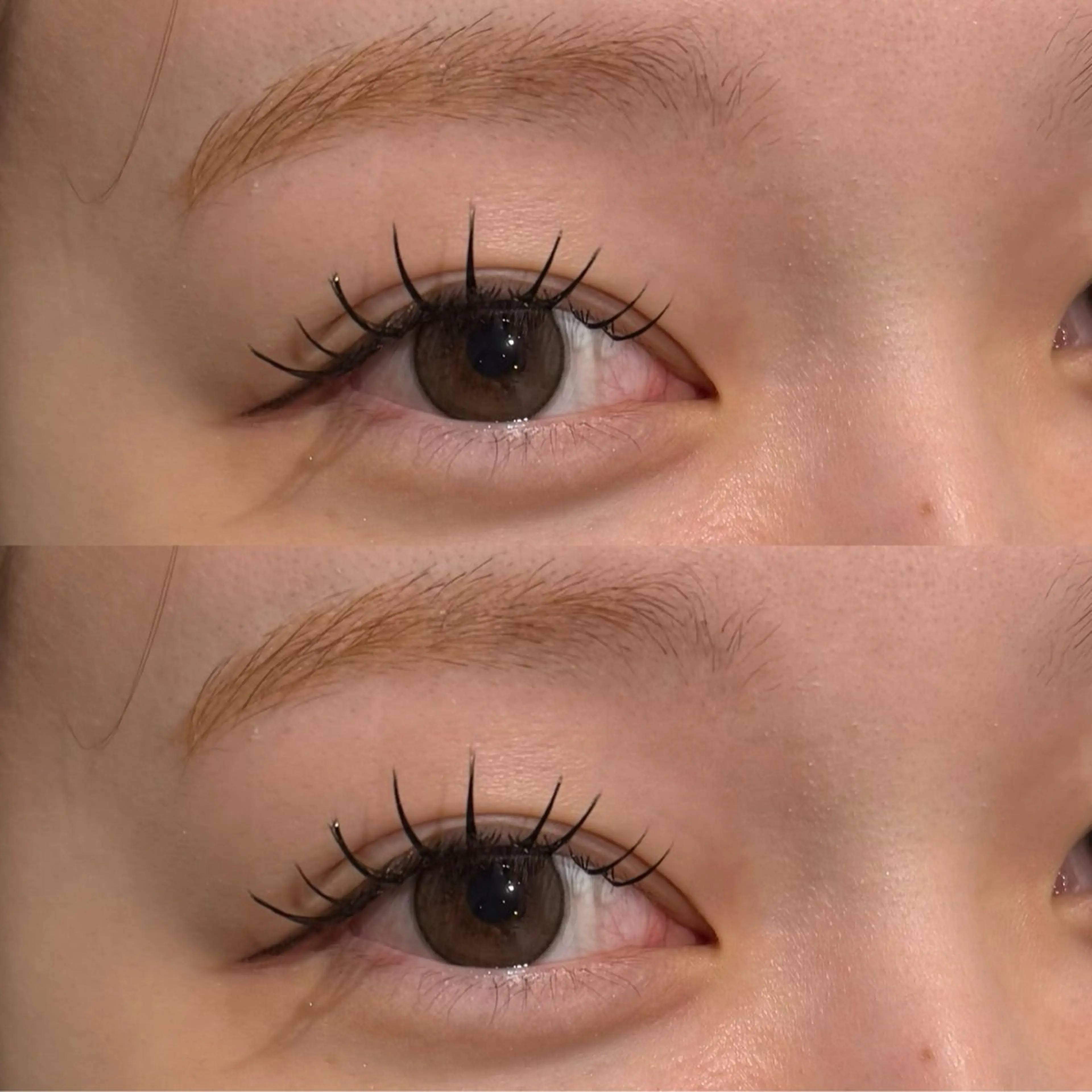 フラットラッシュ160本【オフなし🩷】の写真