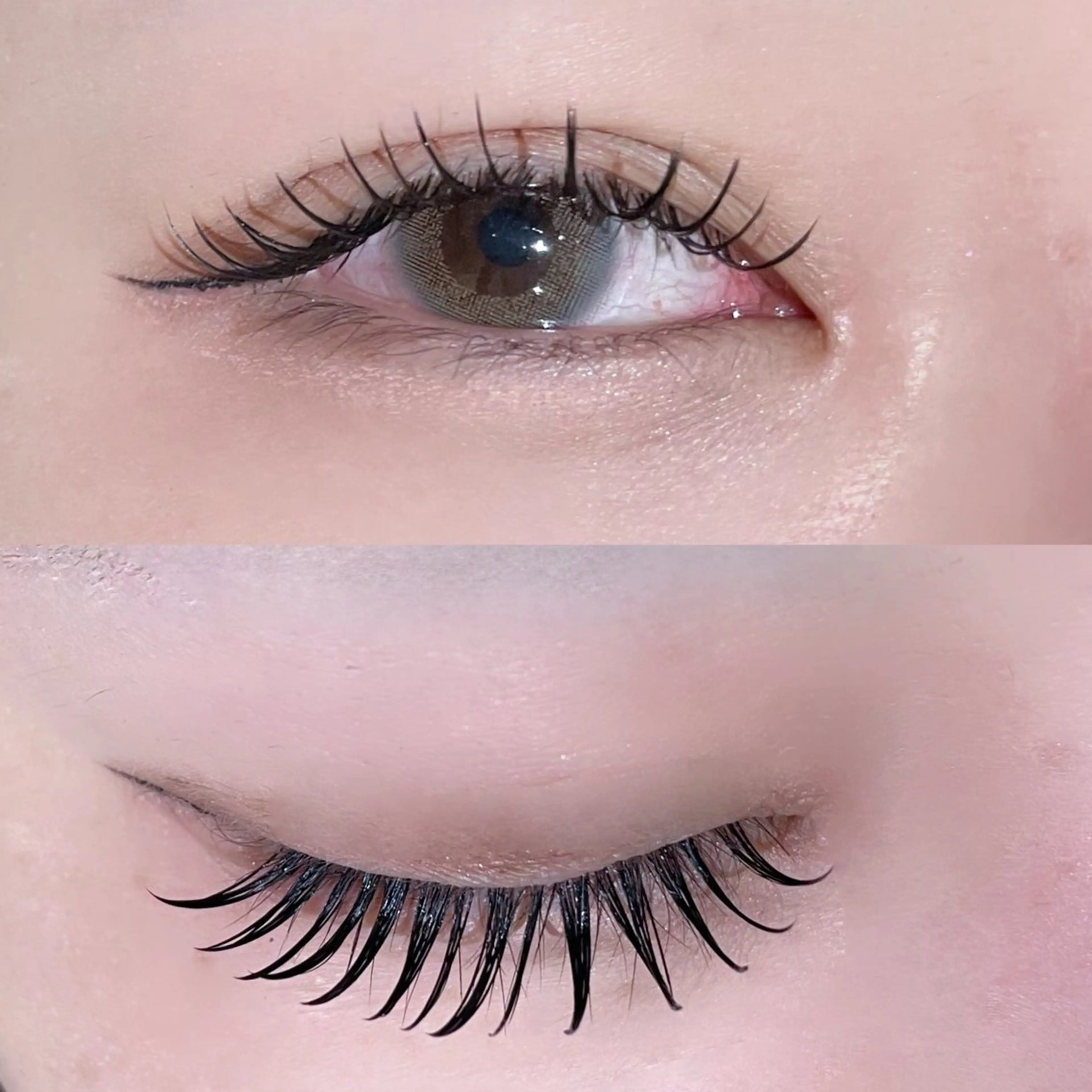 マツエク・マツパ マツエク YUKA 🍯のマツエク・マツパデザイン