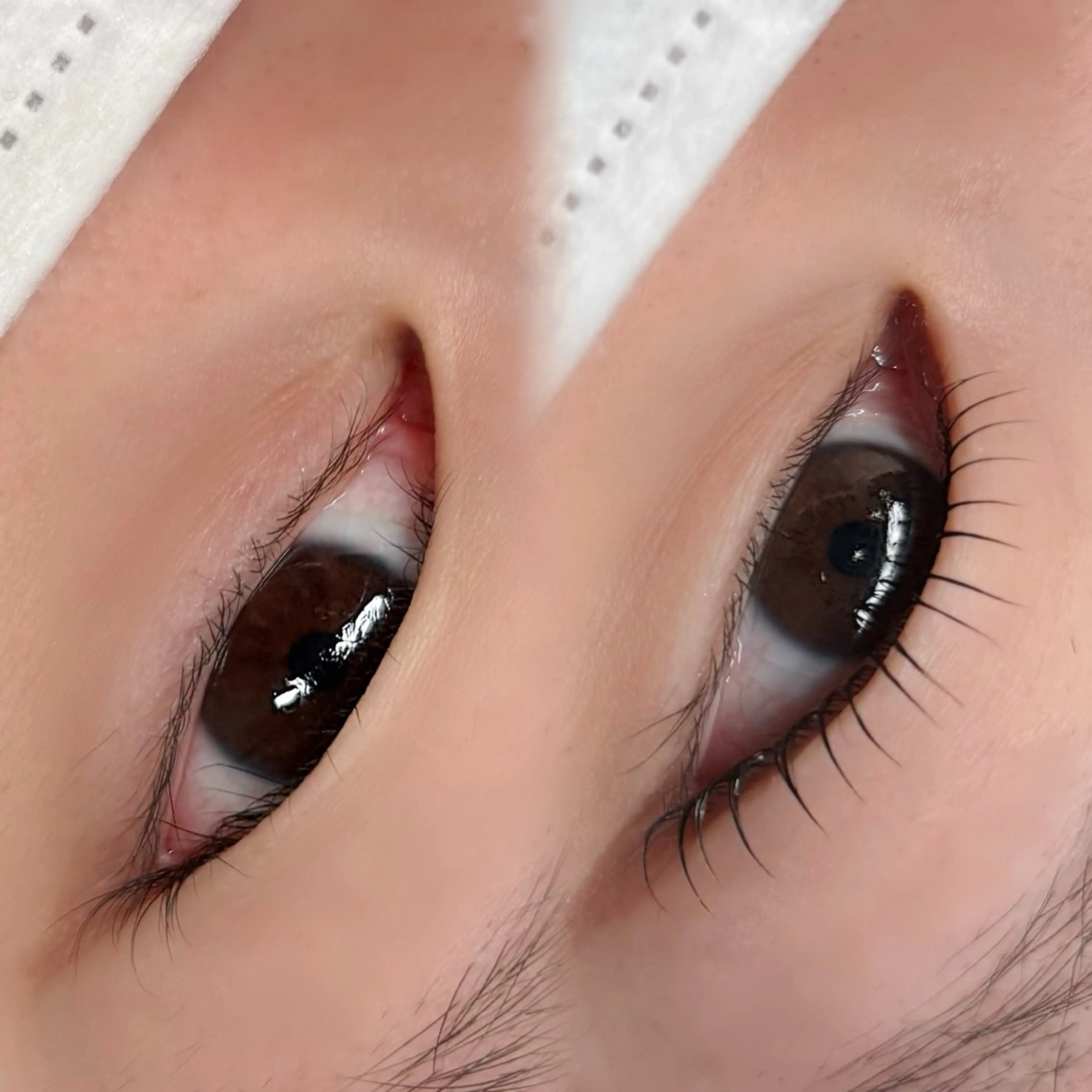 マツエク・マツパ マツパ alchemy workzのマツエク・マツパデザイン