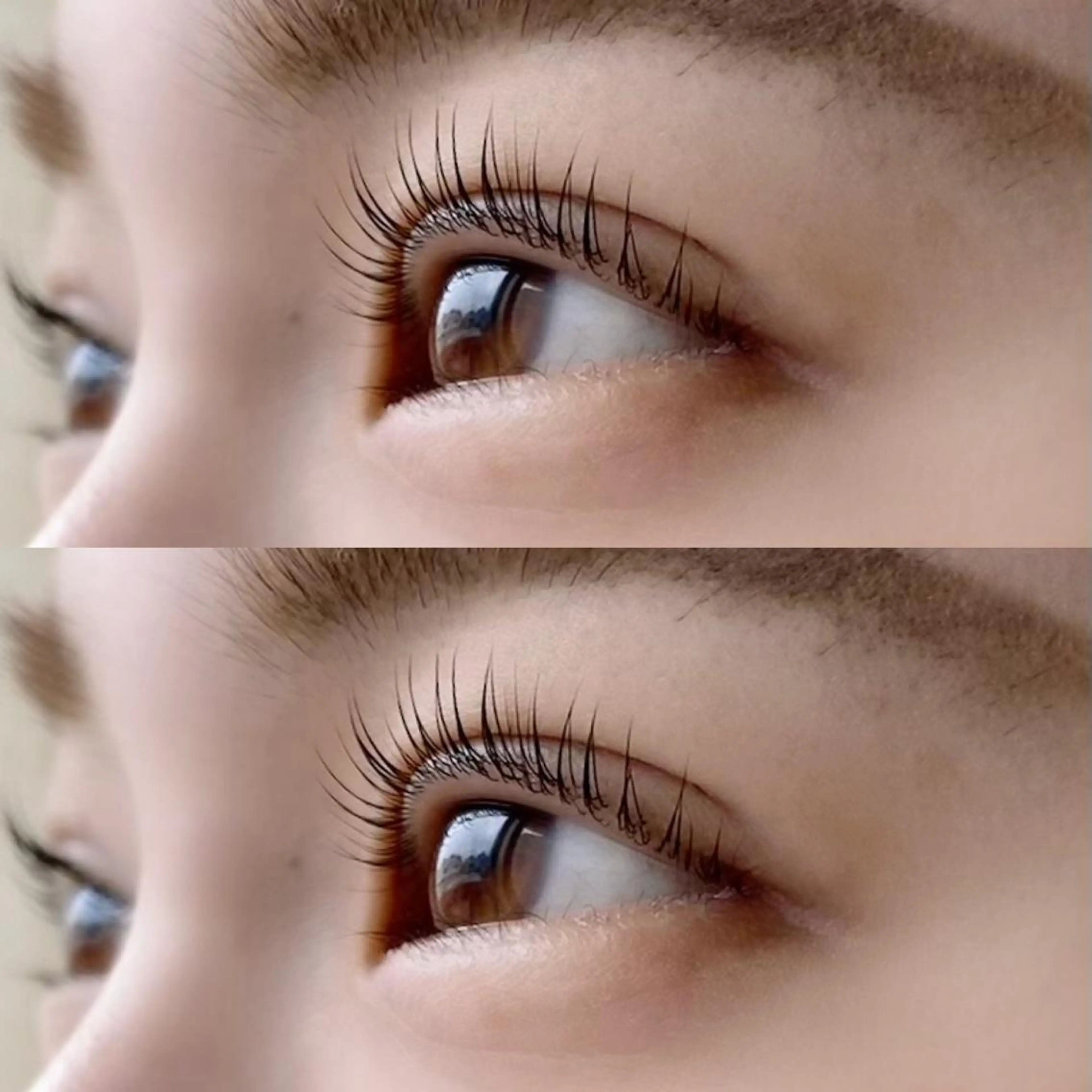 カラー パーマ マツエク・マツパ ブラウンカラー カラーマツエク フラットラッシュ パリジェンヌラッシュリフト まつげパーマ RIKO [Ril eye]のマツエク・マツパデザイン