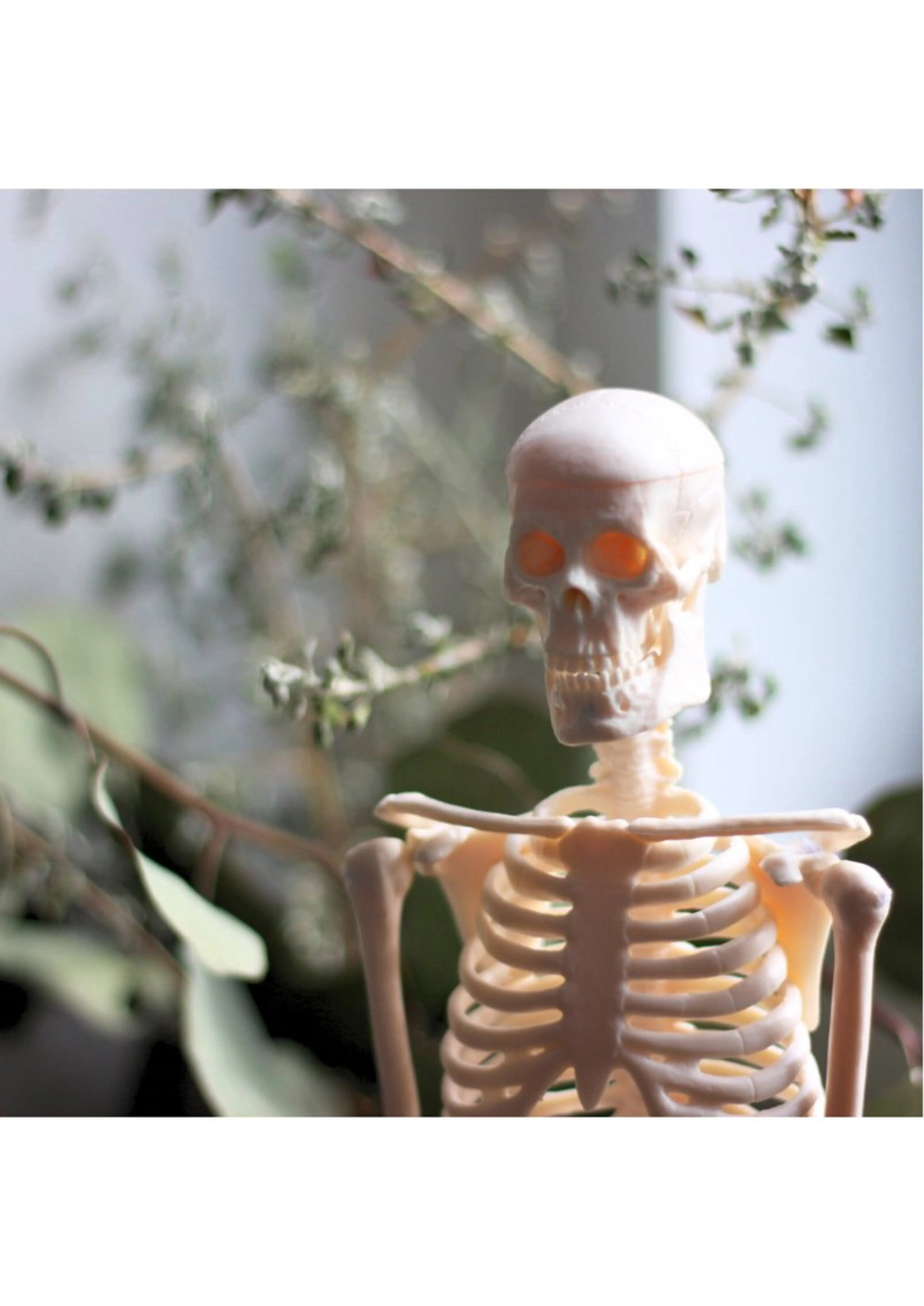 ミニモ学割◇自分型骨格診断の写真