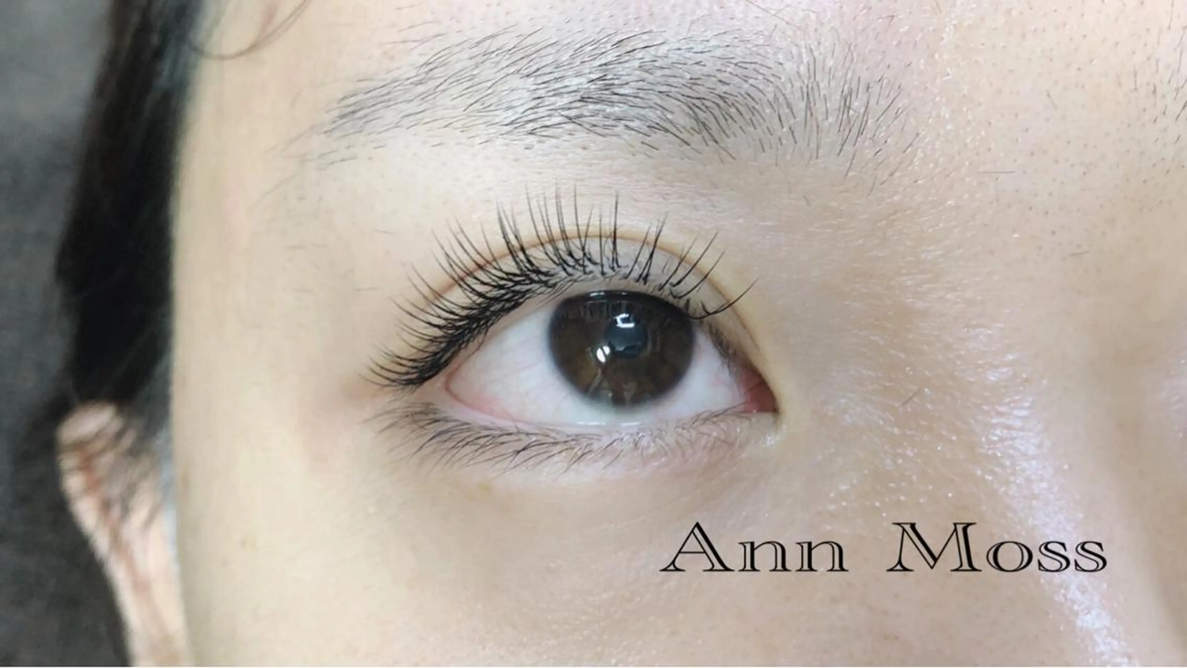 マツエク・マツパ 無料モデル募集中 Ann Mossのマツエク・マツパデザイン