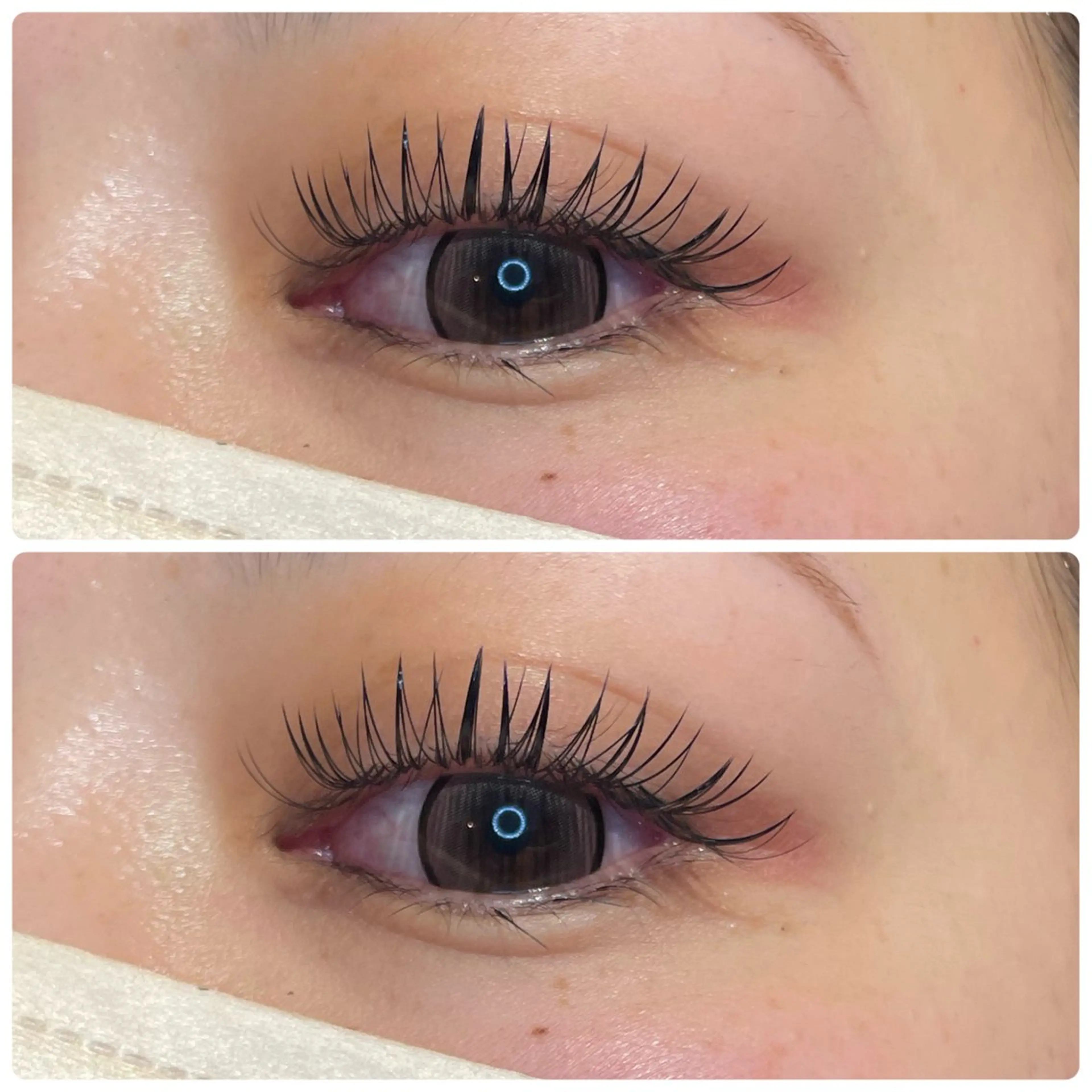 🌟ダブルフラットラッシュ200本+アイシャンプーの写真