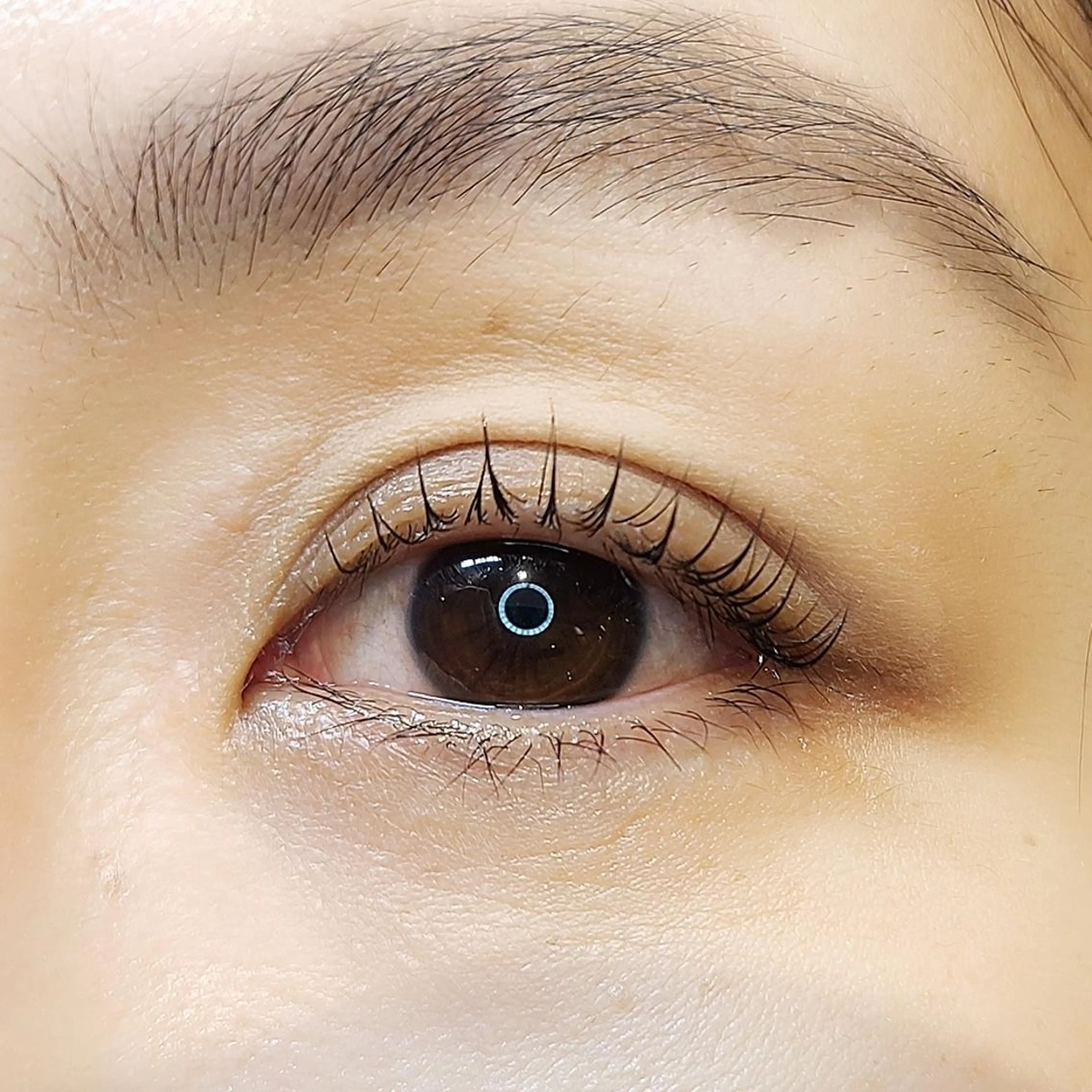 マツエク・マツパ パリジェンヌラッシュリフト LASH BAR  友久のマツエク・マツパデザイン