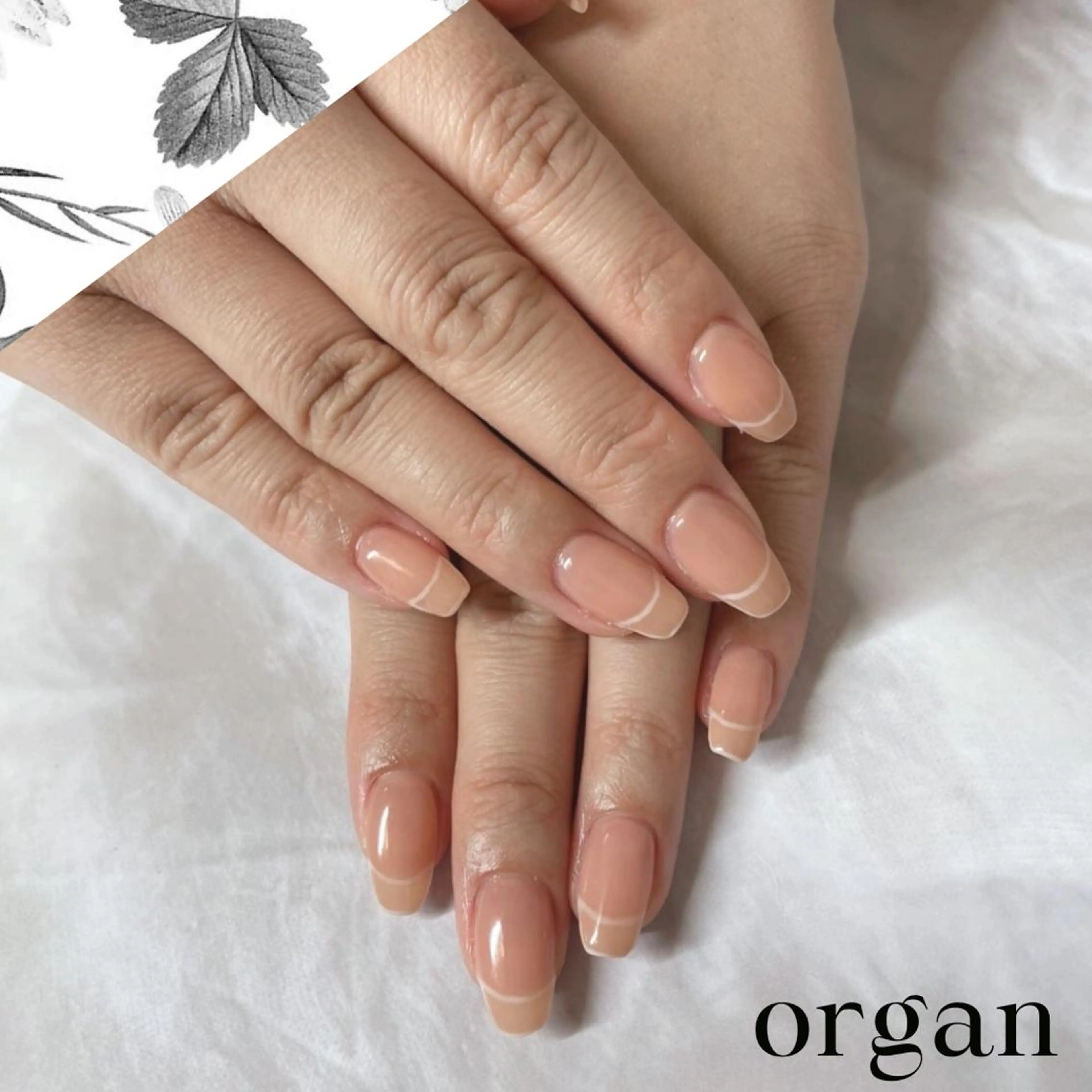 ネイル フレンチネイル 【ＯＲＧＡＮ】 nailのネイルデザイン
