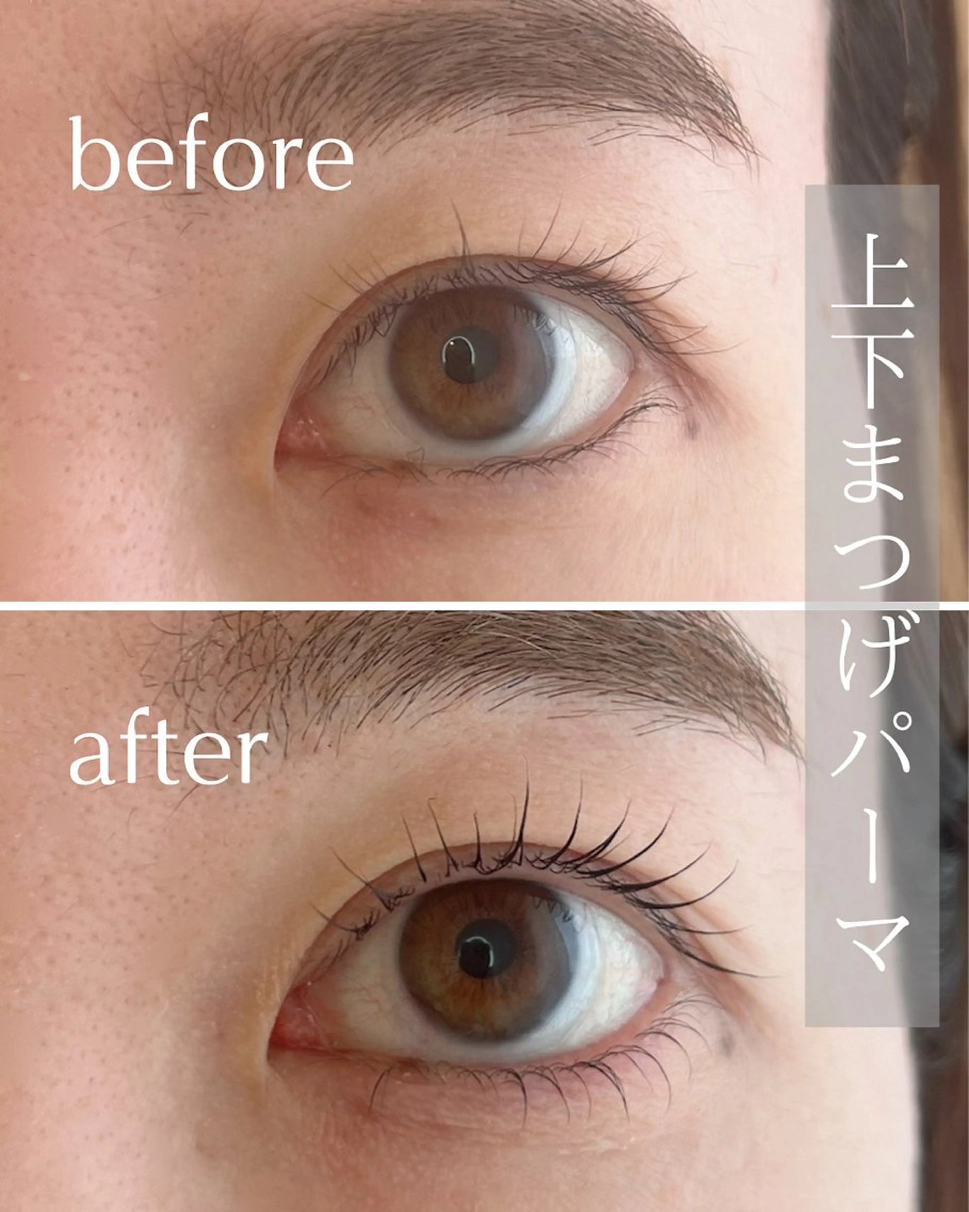 マツエク・マツパ マツパ まつげ/眉/耳つぼ 🩵渋谷 OTTEのその他イメージ