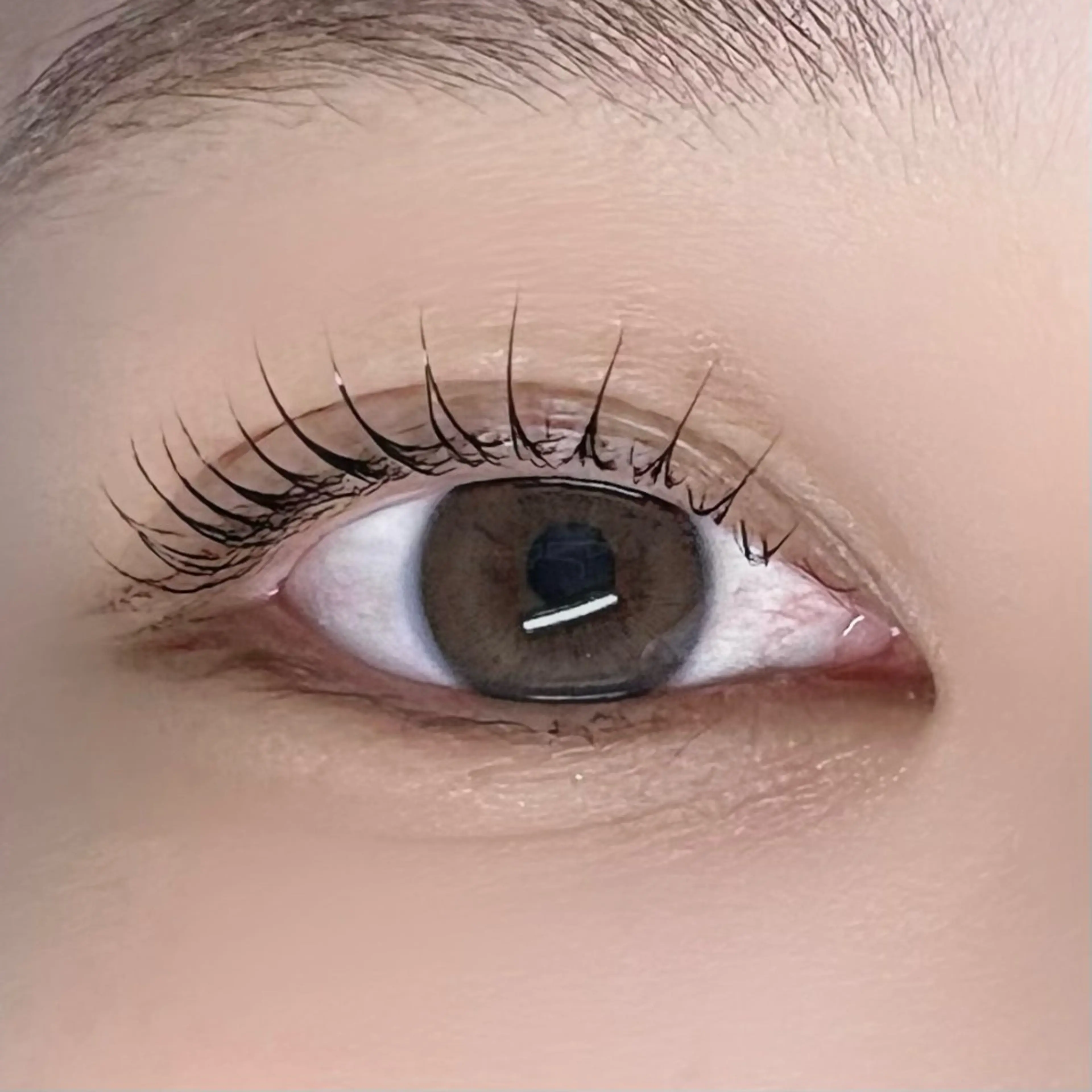 マツエク・マツパ マツパ 垢抜け眉WAX専門 ちゅるんまつげ|鎌倉の眉毛・アイブロウイメージ